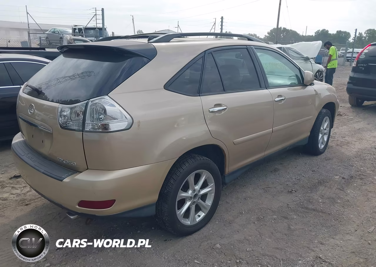 2009 Lexus Rx 350 VIN:2T2HK31U89C119364 - 4