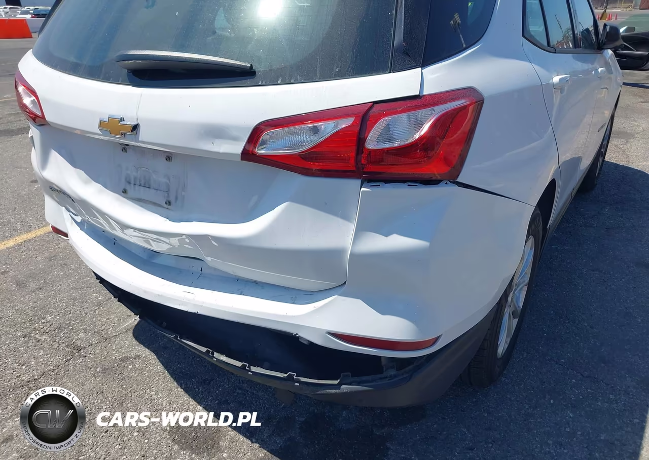 2019 Chevrolet Equinox Ls VIN:2GNAXHEV5K6109218 - 18