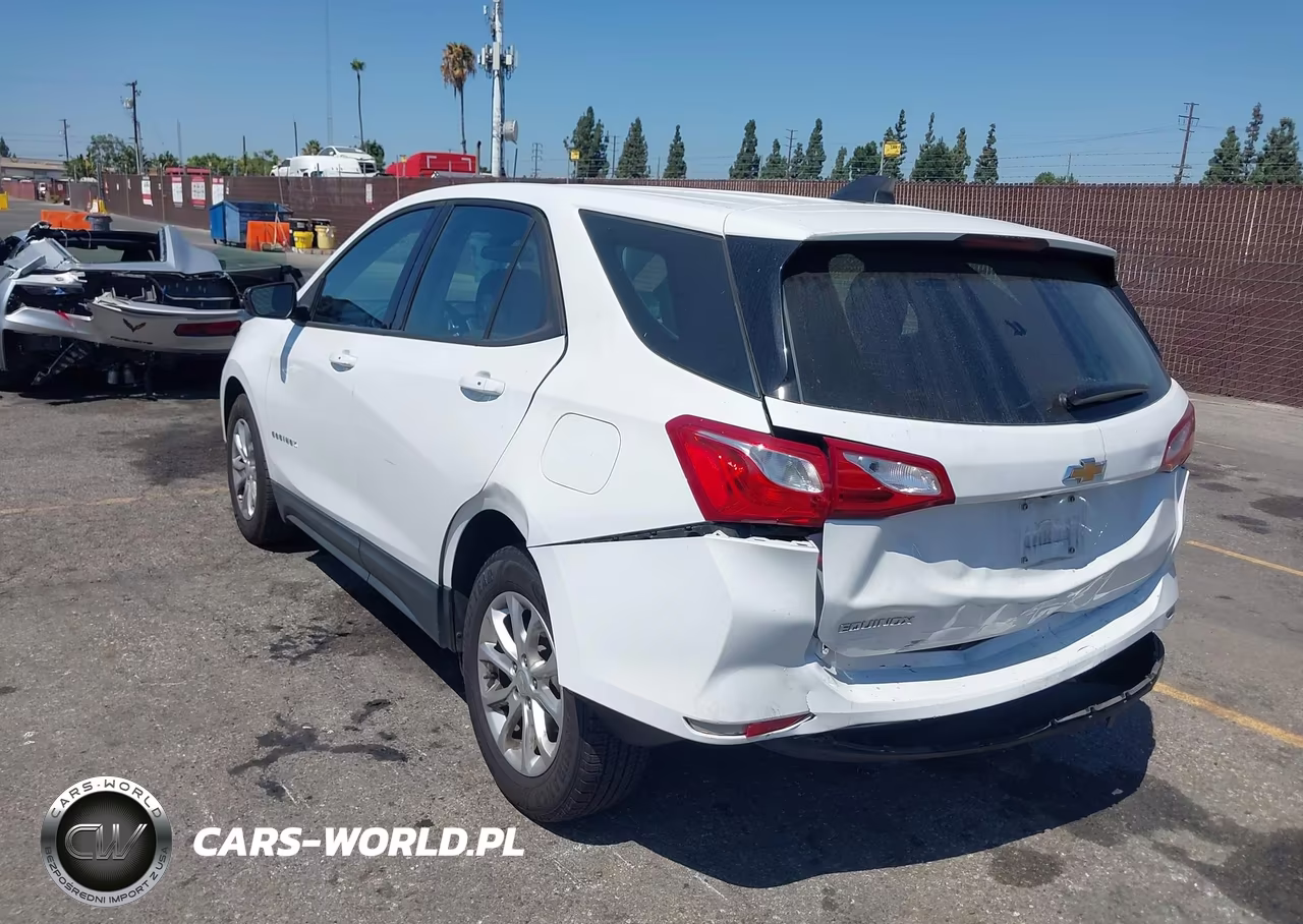 2019 Chevrolet Equinox Ls VIN:2GNAXHEV5K6109218 - 3