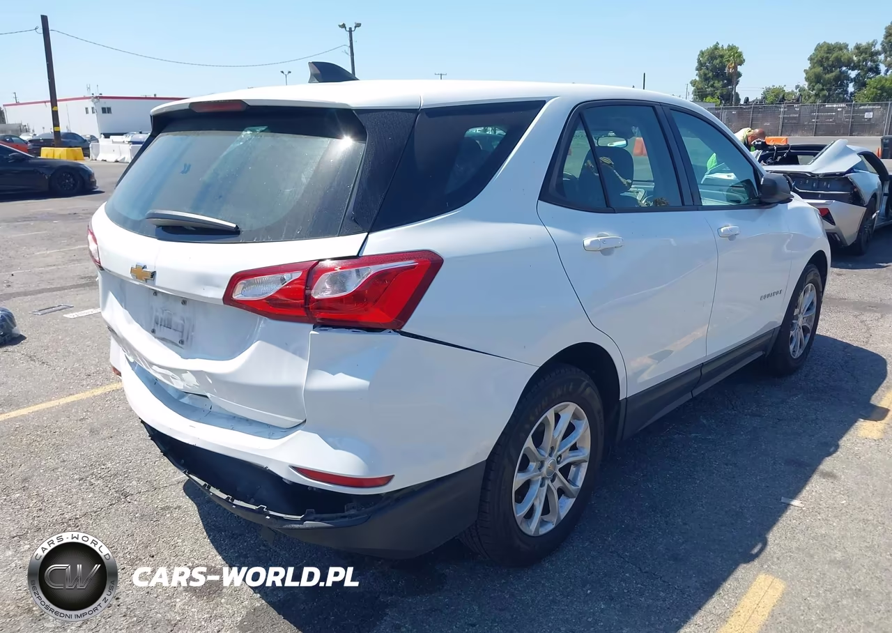 2019 Chevrolet Equinox Ls VIN:2GNAXHEV5K6109218 - 4