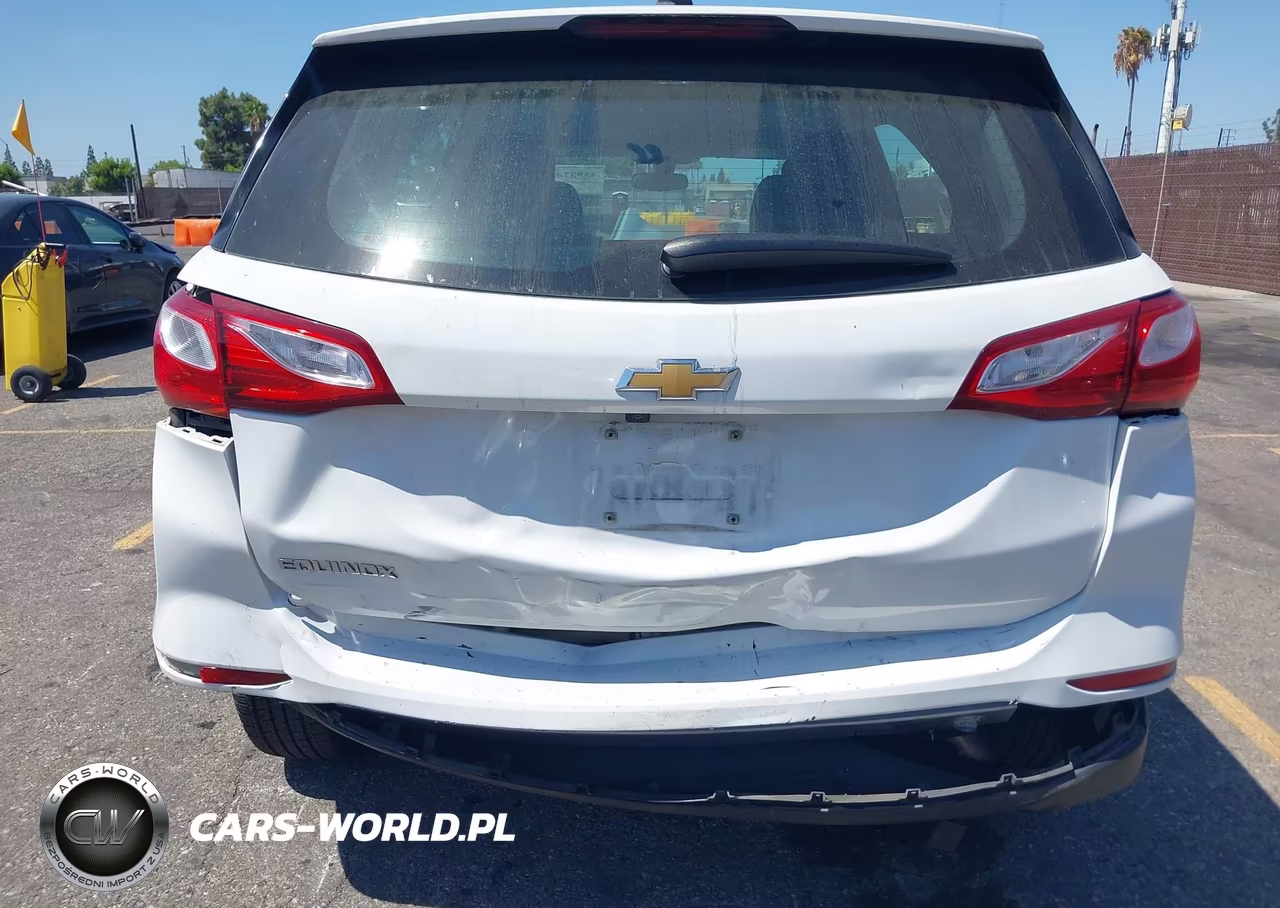 2019 Chevrolet Equinox Ls VIN:2GNAXHEV5K6109218 - 6