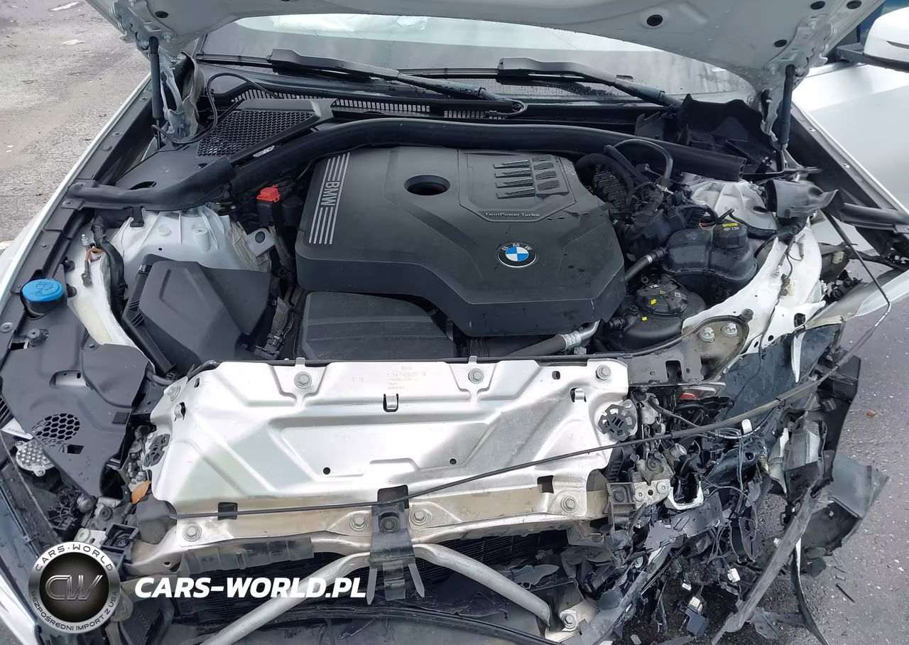 2019 BMW 330I VIN:WBA5R1C5XKAJ99545 - 10