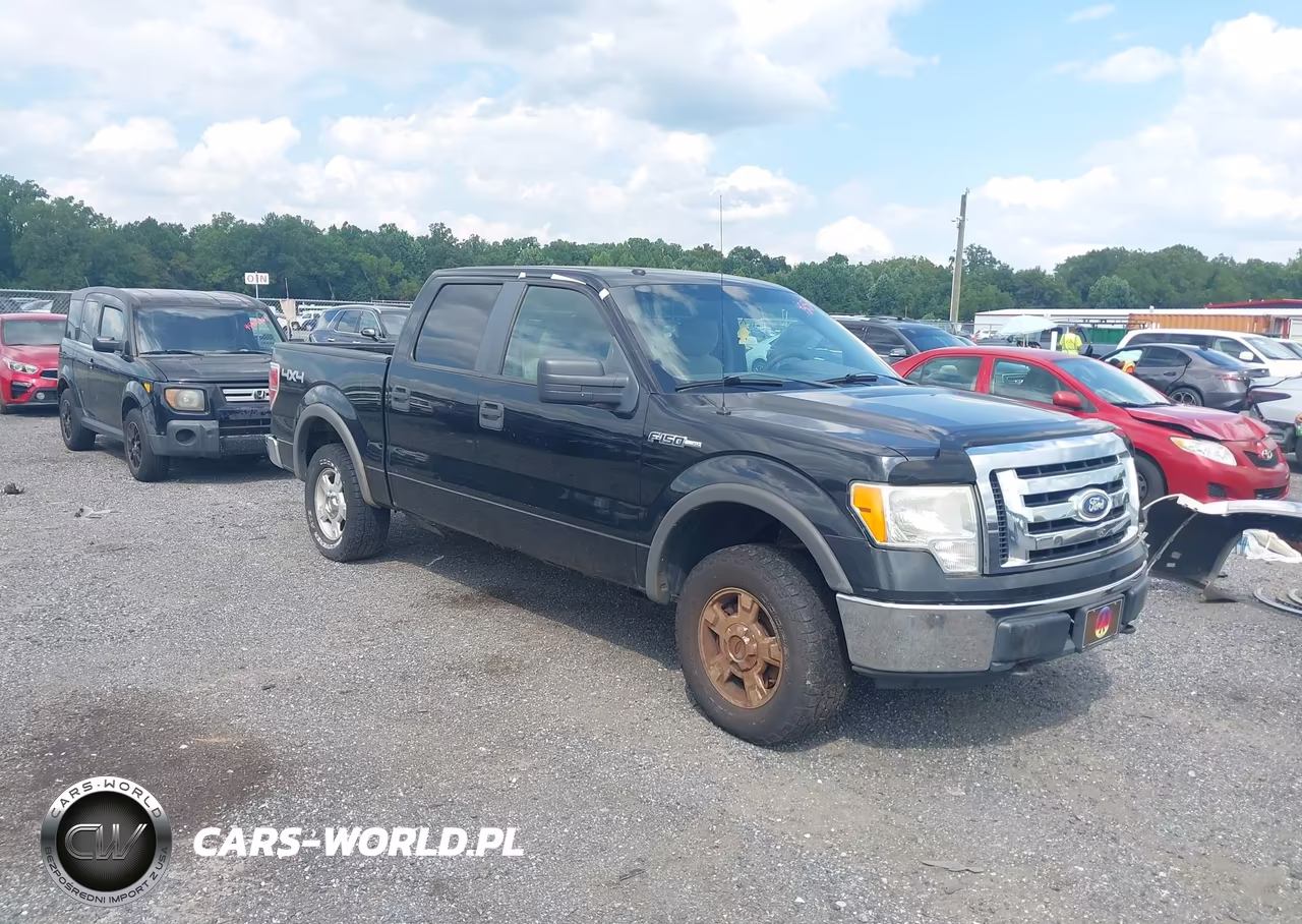 2010 Ford F-150 Xl-Xlt