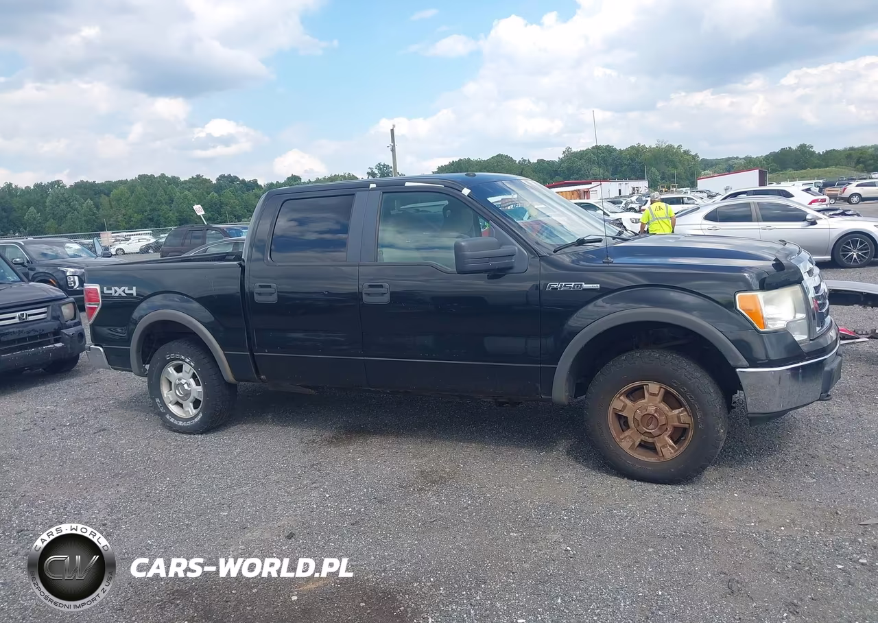 2010 Ford F-150 Xl-Xlt VIN:1FTEW1E88AFA46392 - 13