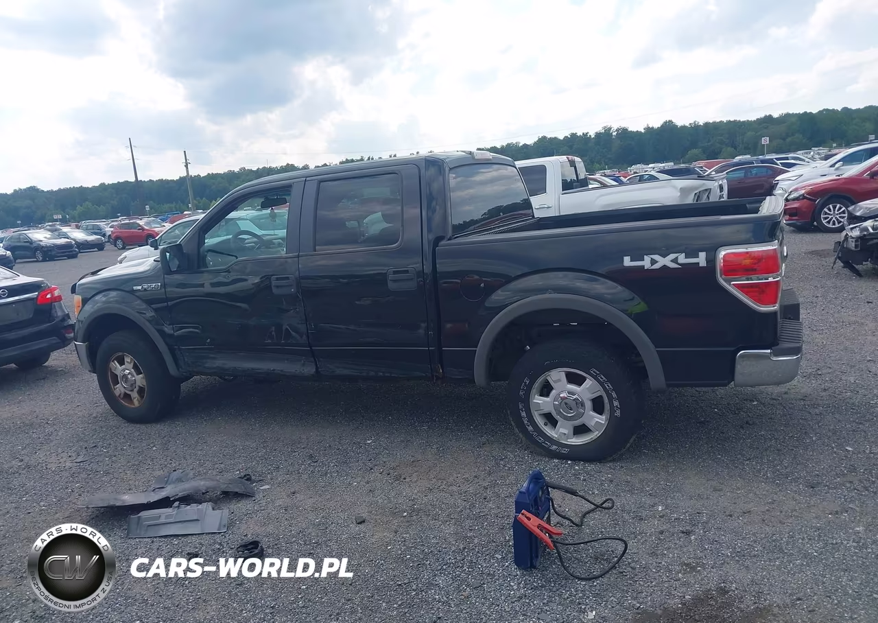 2010 Ford F-150 Xl-Xlt VIN:1FTEW1E88AFA46392 - 14