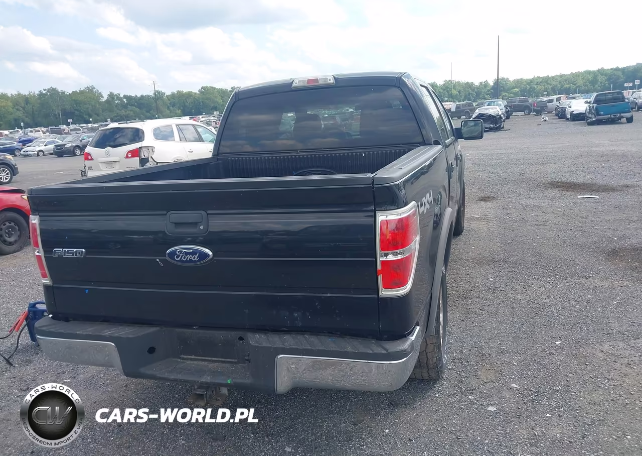 2010 Ford F-150 Xl-Xlt VIN:1FTEW1E88AFA46392 - 16