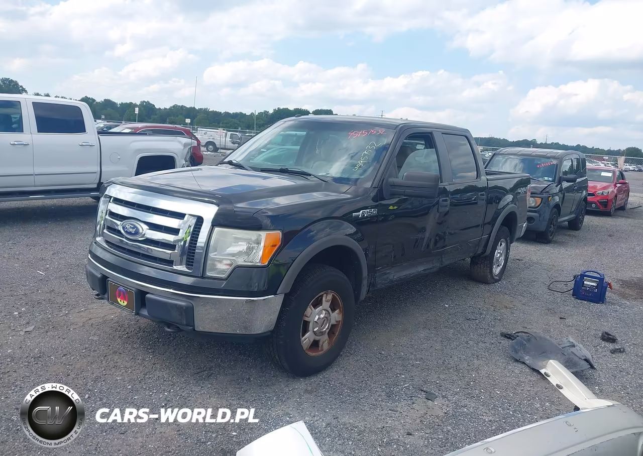 2010 Ford F-150 Xl-Xlt VIN:1FTEW1E88AFA46392 - 2