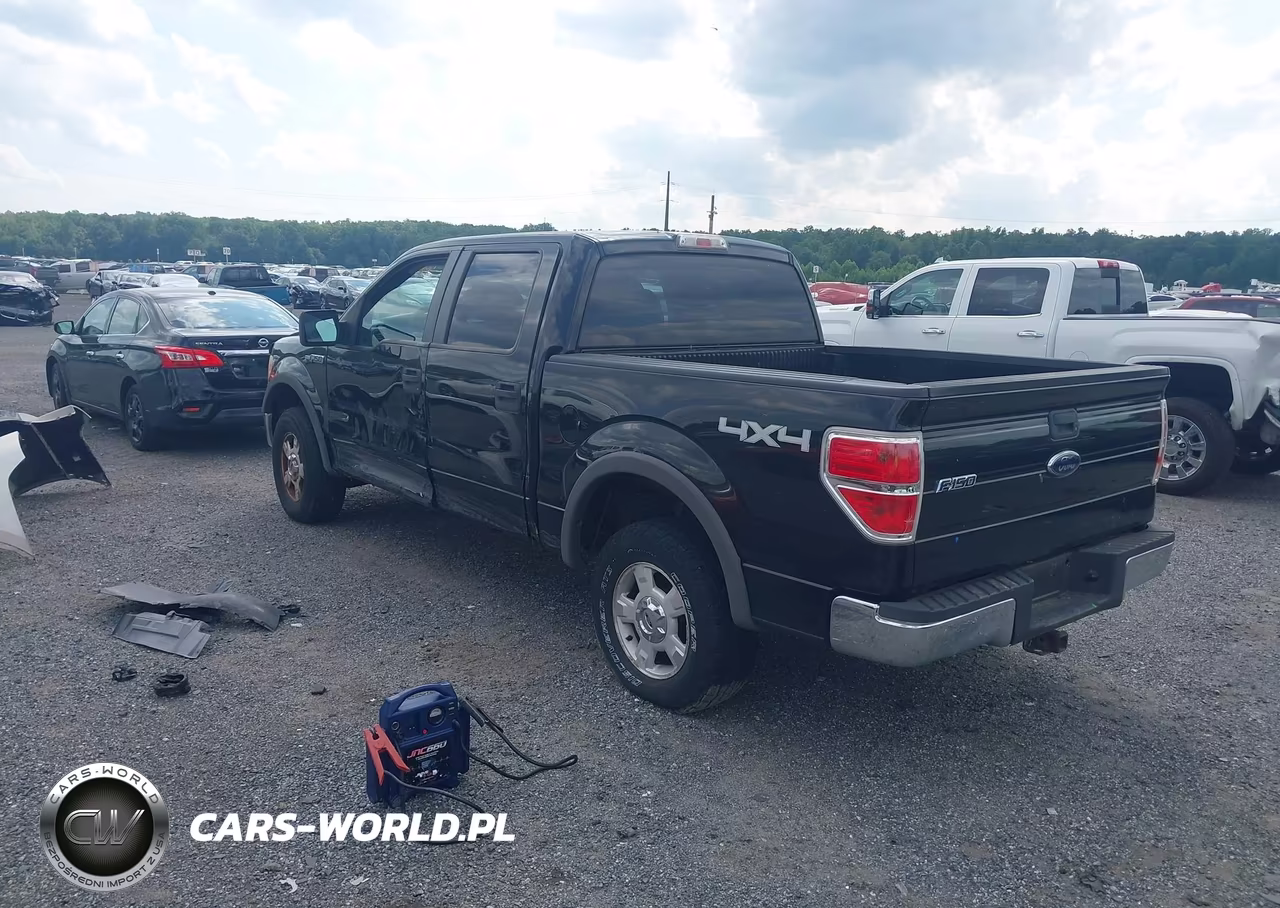 2010 Ford F-150 Xl-Xlt VIN:1FTEW1E88AFA46392 - 3
