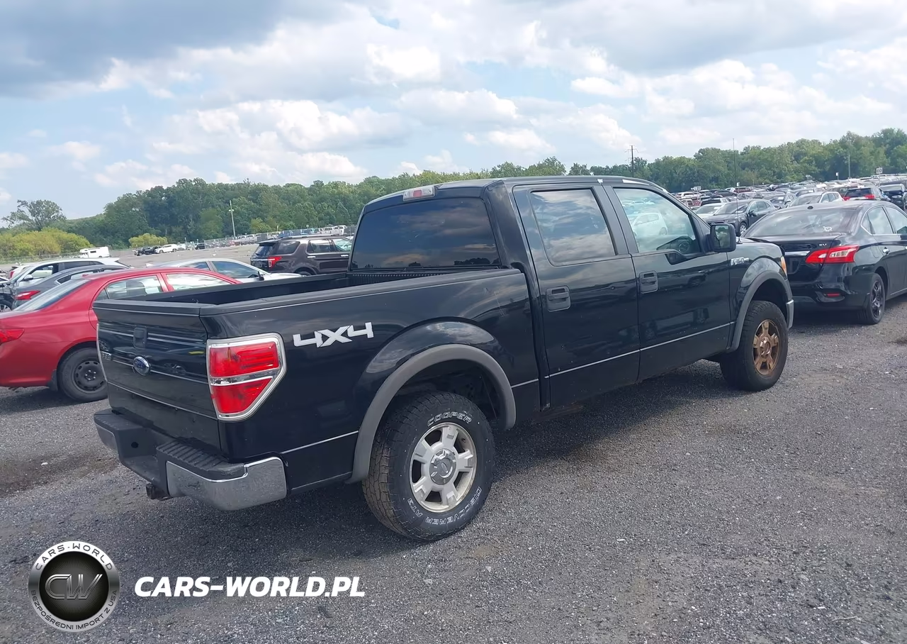 2010 Ford F-150 Xl-Xlt VIN:1FTEW1E88AFA46392 - 4