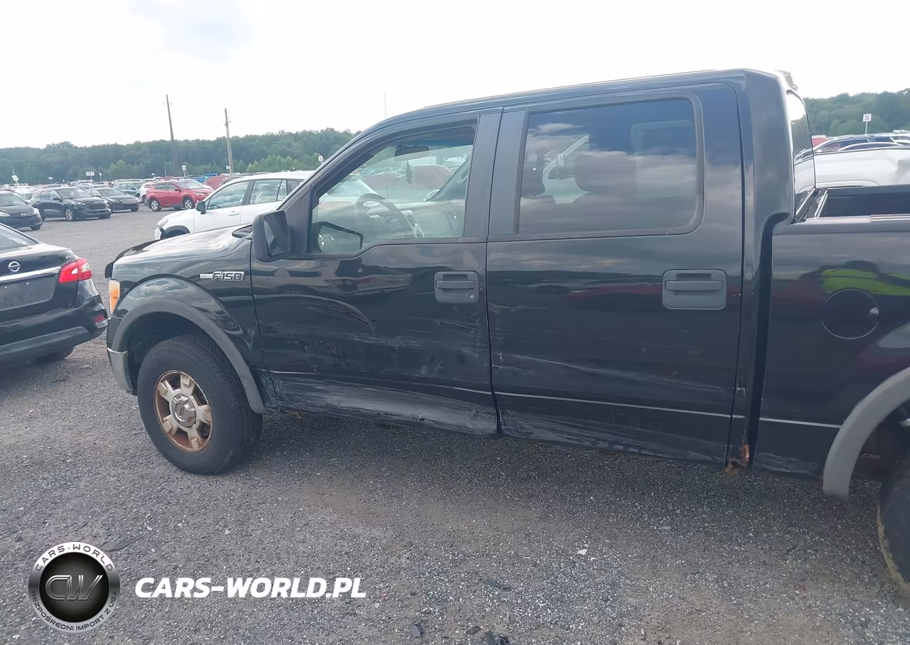 2010 Ford F-150 Xl-Xlt VIN:1FTEW1E88AFA46392 - 6