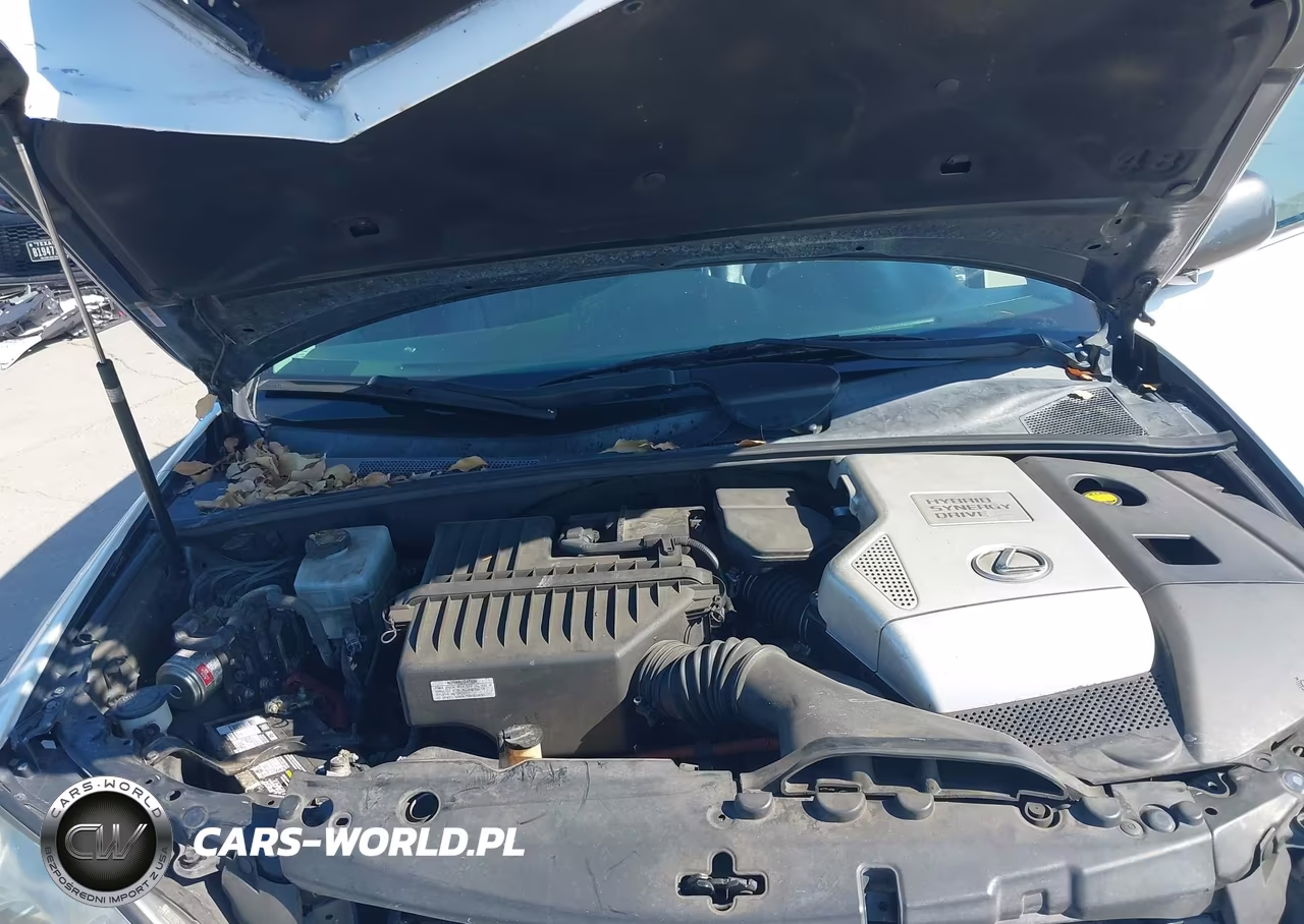 2006 Lexus Rx 400H VIN:JTJGW31U762000961 - 10