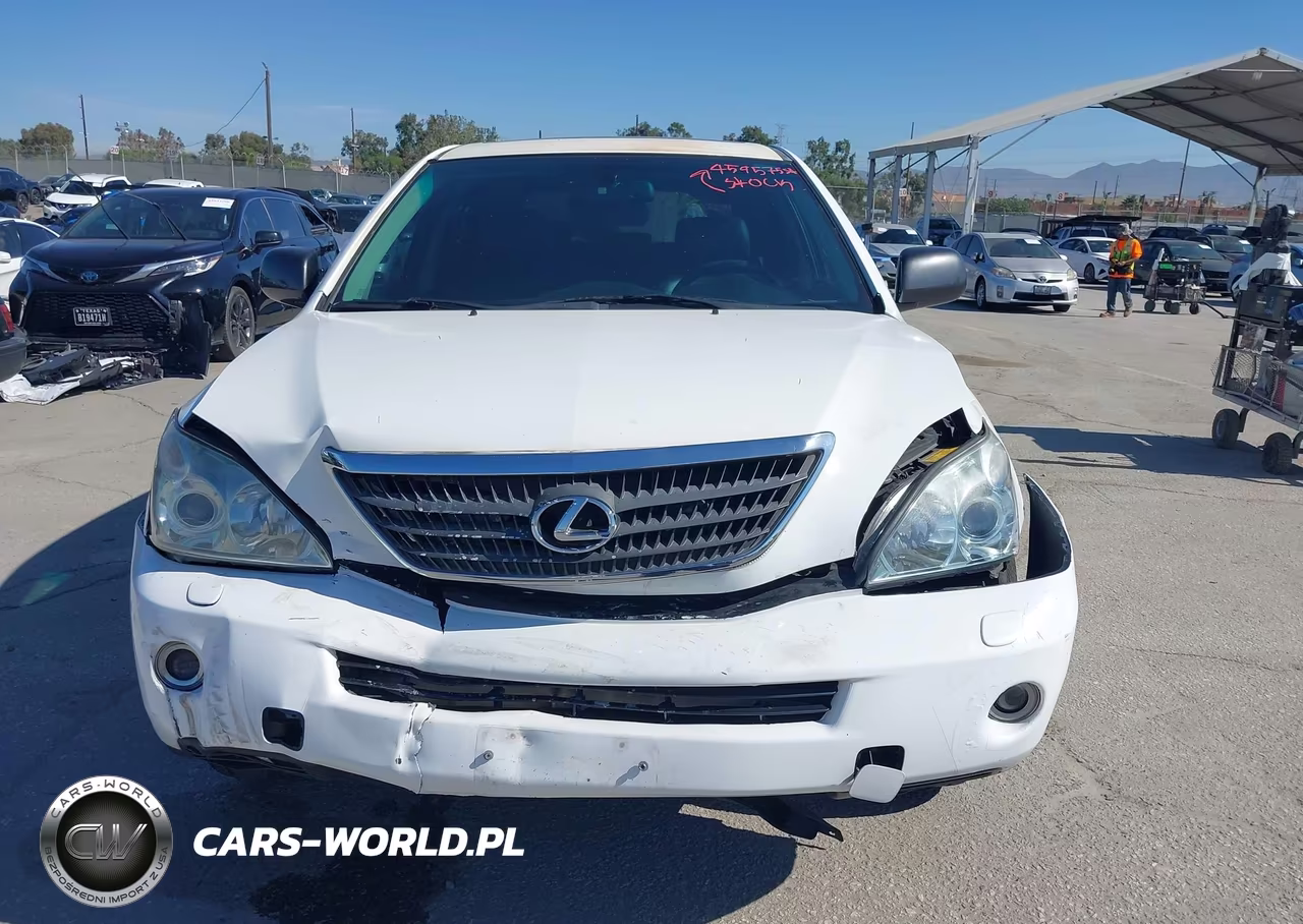 2006 Lexus Rx 400H VIN:JTJGW31U762000961 - 12