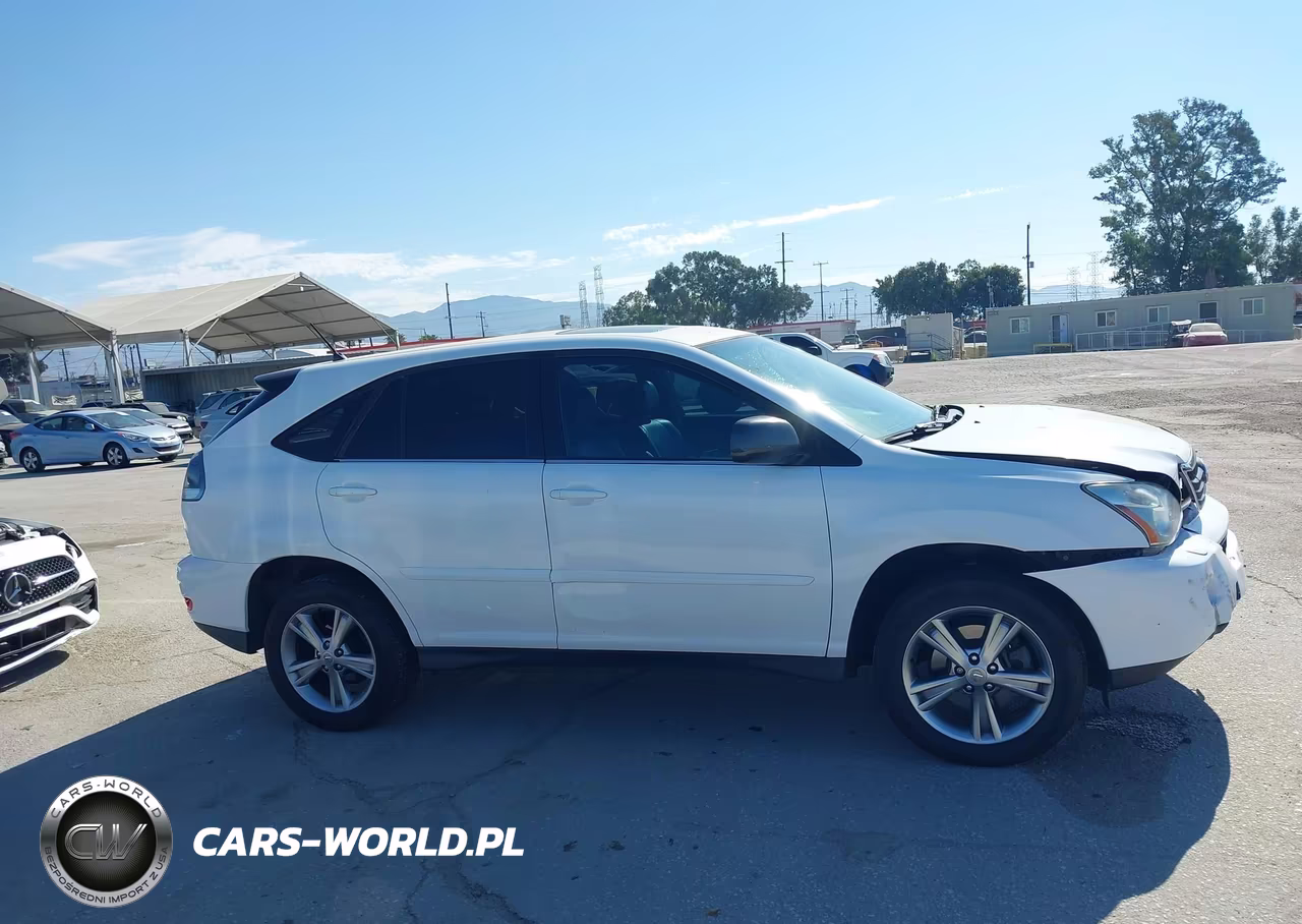 2006 Lexus Rx 400H VIN:JTJGW31U762000961 - 13