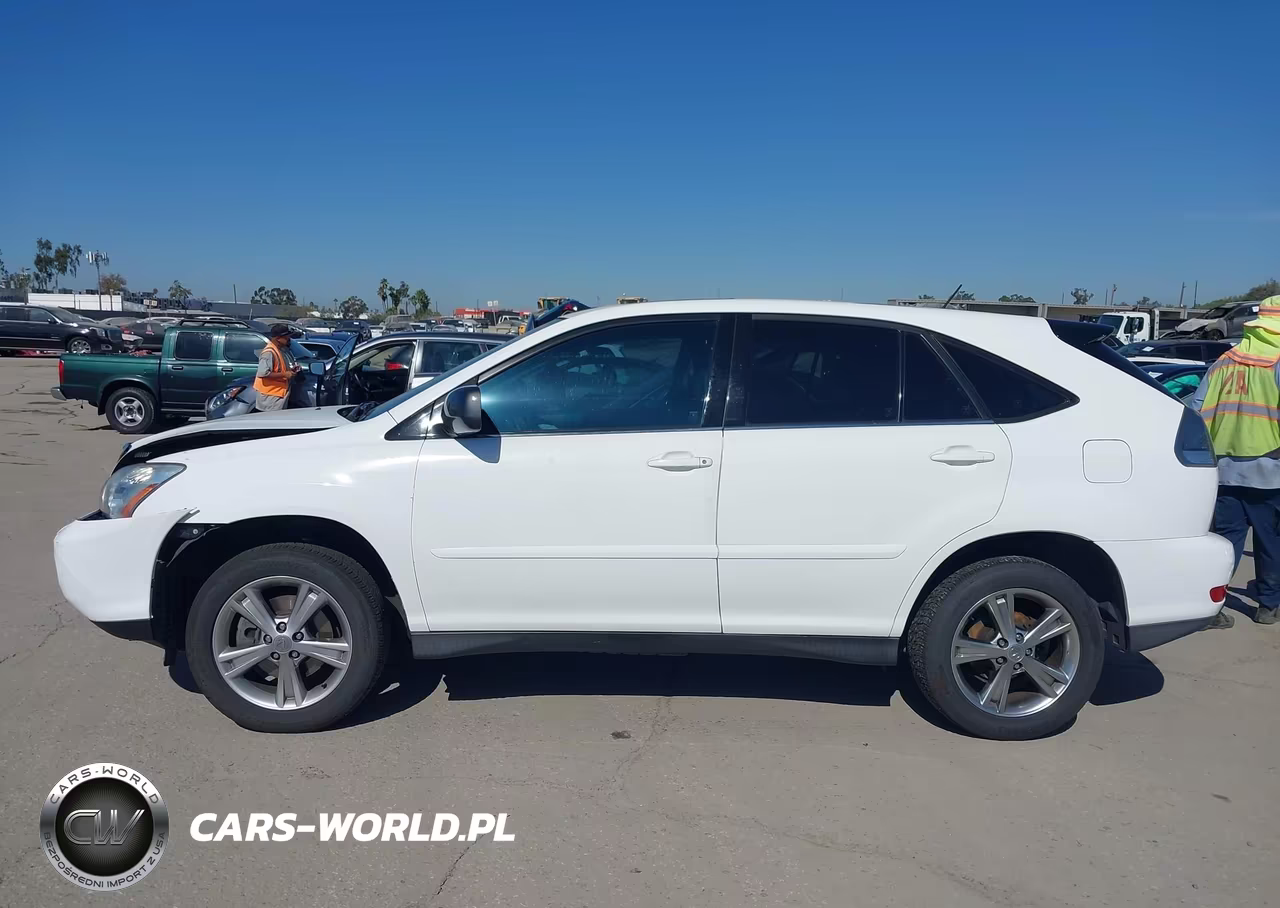 2006 Lexus Rx 400H VIN:JTJGW31U762000961 - 14