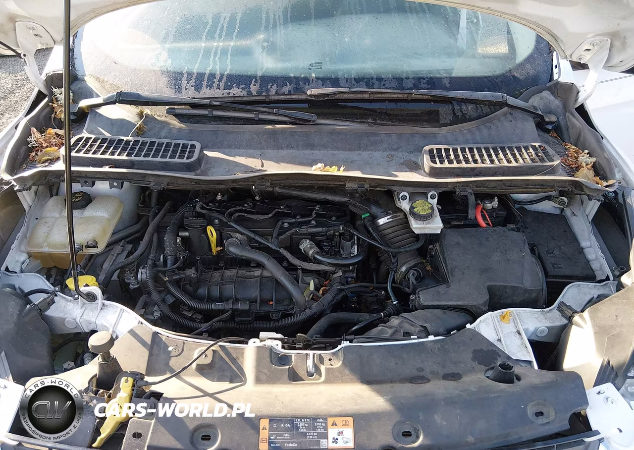 2015 Ford Escape Se VIN:1FMCU0GX8FUB42842 - 10