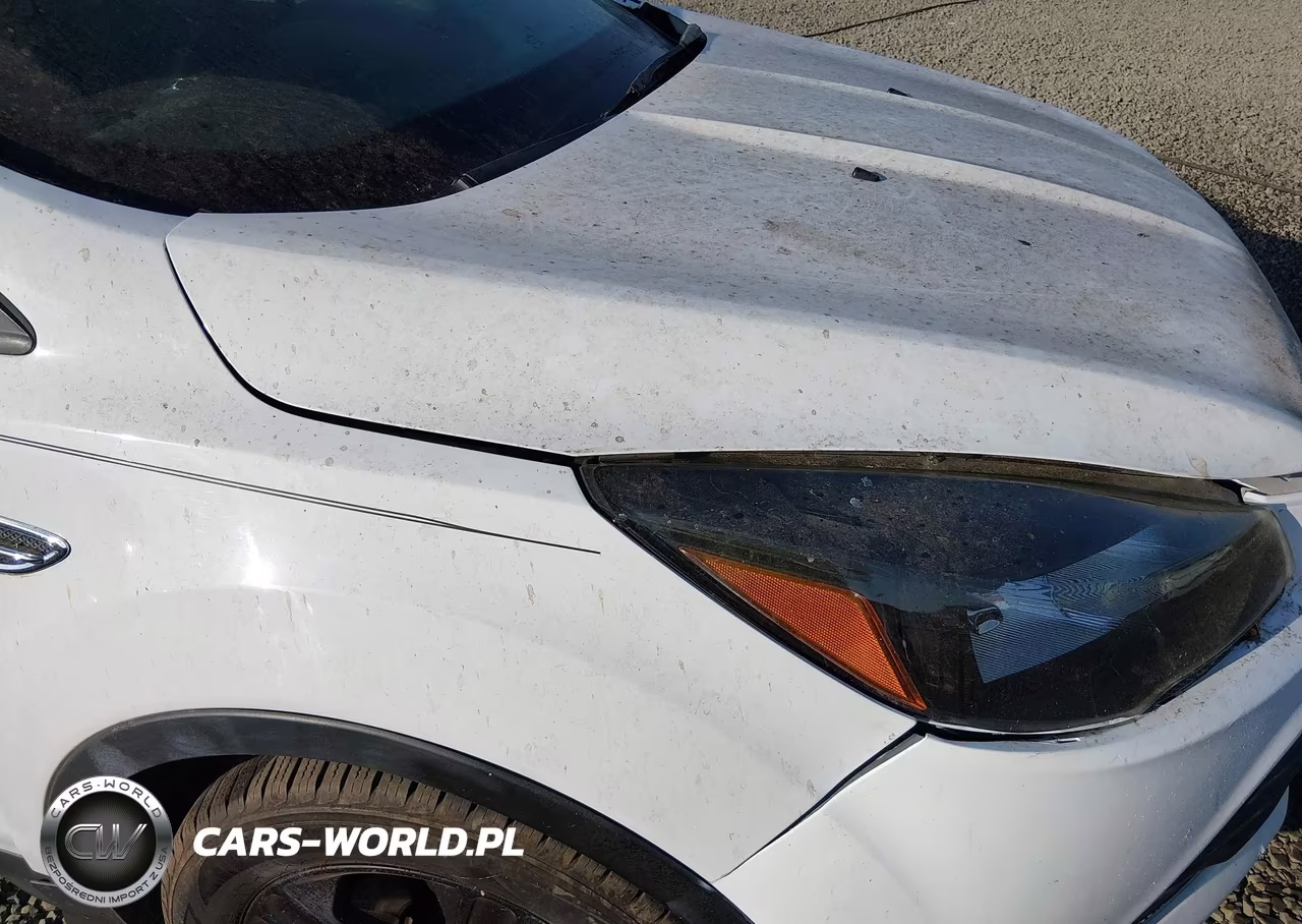2015 Ford Escape Se VIN:1FMCU0GX8FUB42842 - 13