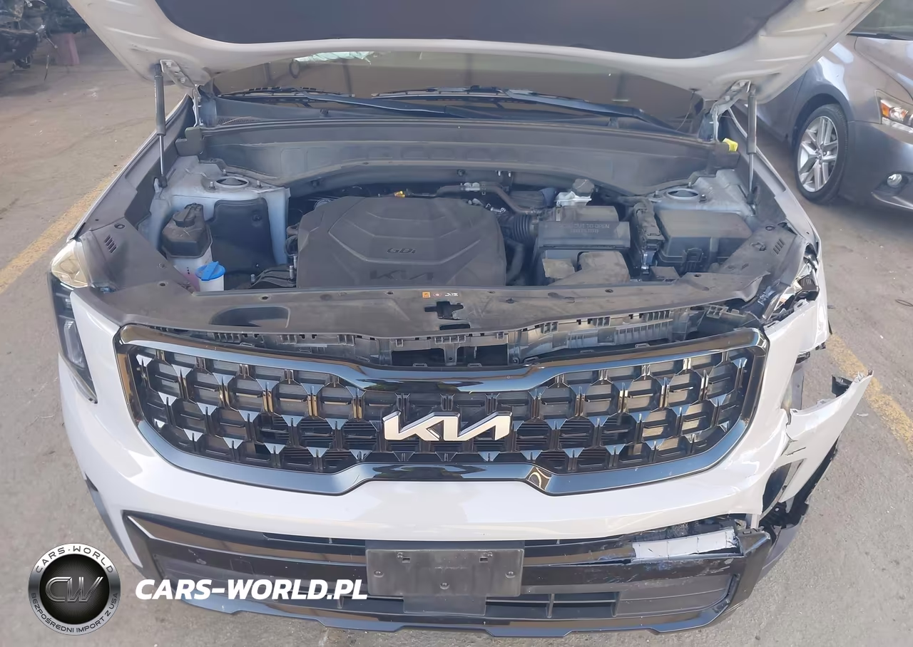 2024 Kia Telluride Ex X-Line VIN:5XYP3DGCXRG438884 - 10