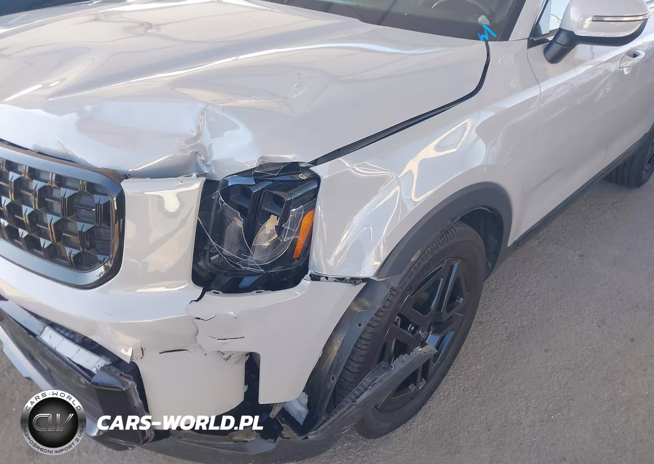 2024 Kia Telluride Ex X-Line VIN:5XYP3DGCXRG438884 - 12