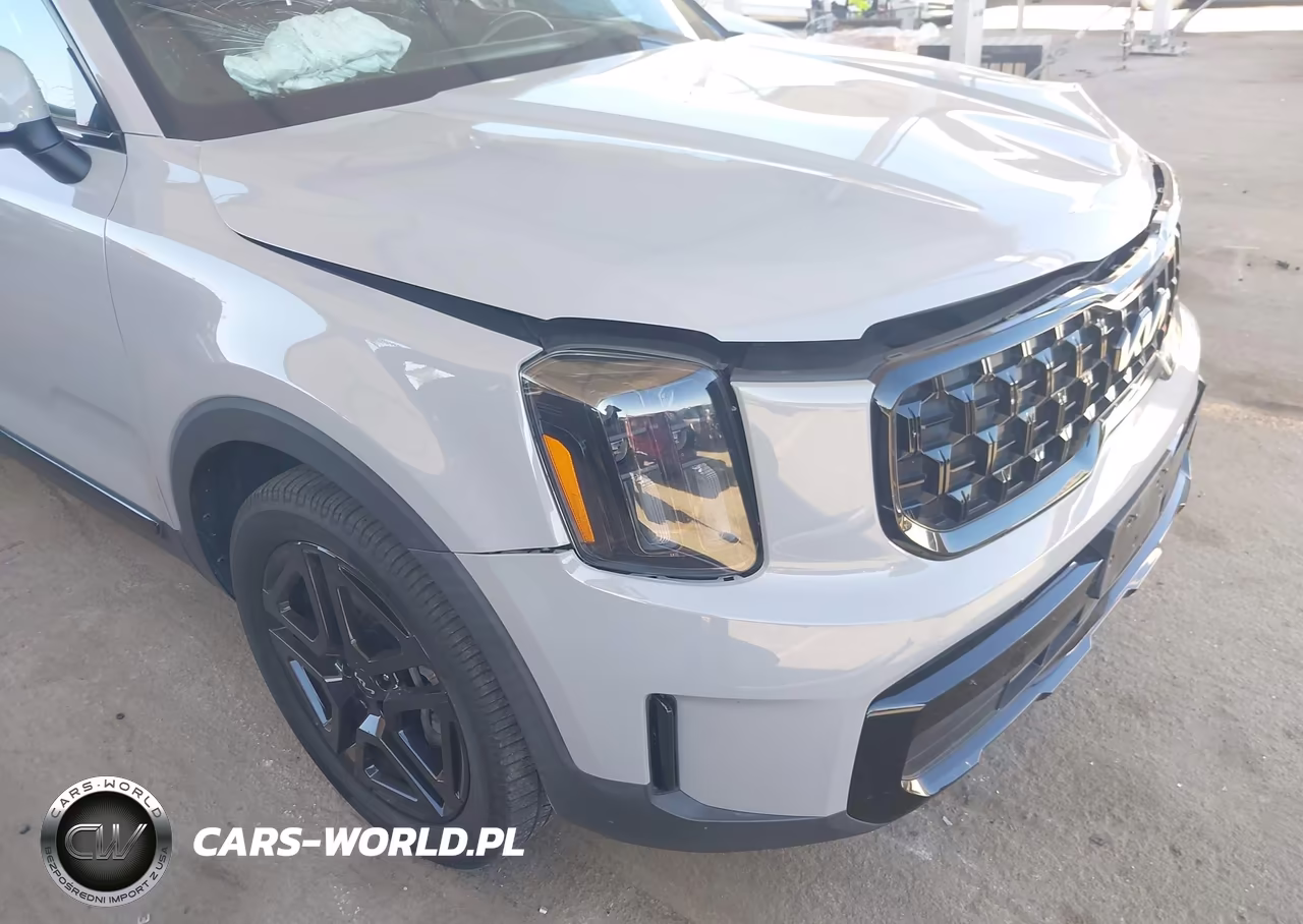 2024 Kia Telluride Ex X-Line VIN:5XYP3DGCXRG438884 - 13