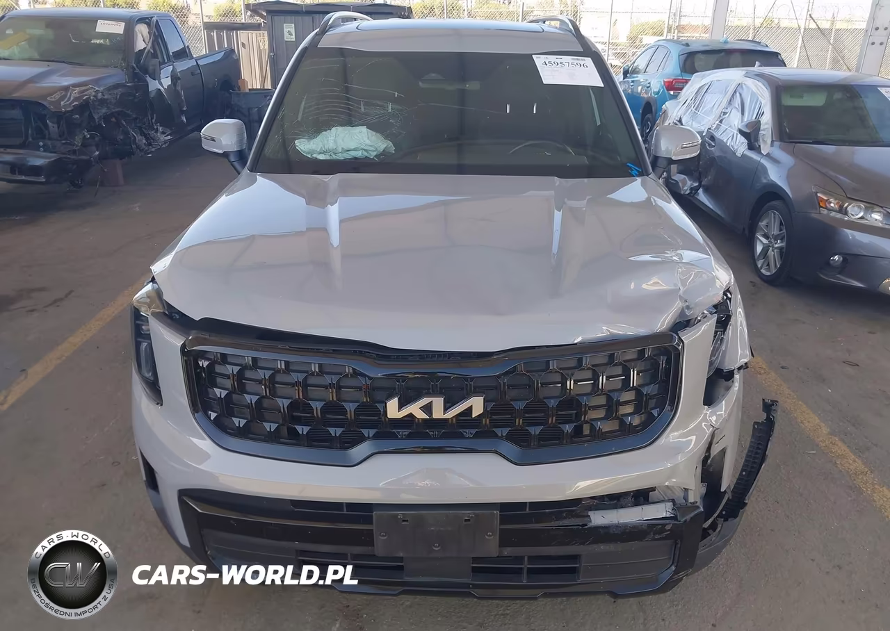 2024 Kia Telluride Ex X-Line VIN:5XYP3DGCXRG438884 - 14