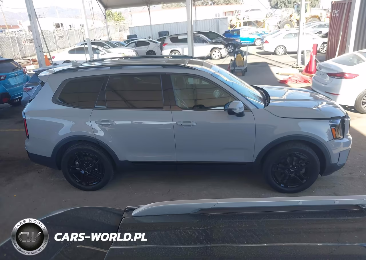 2024 Kia Telluride Ex X-Line VIN:5XYP3DGCXRG438884 - 15