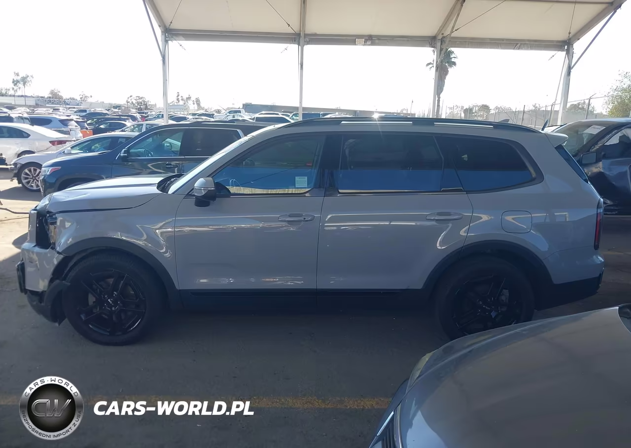 2024 Kia Telluride Ex X-Line VIN:5XYP3DGCXRG438884 - 16