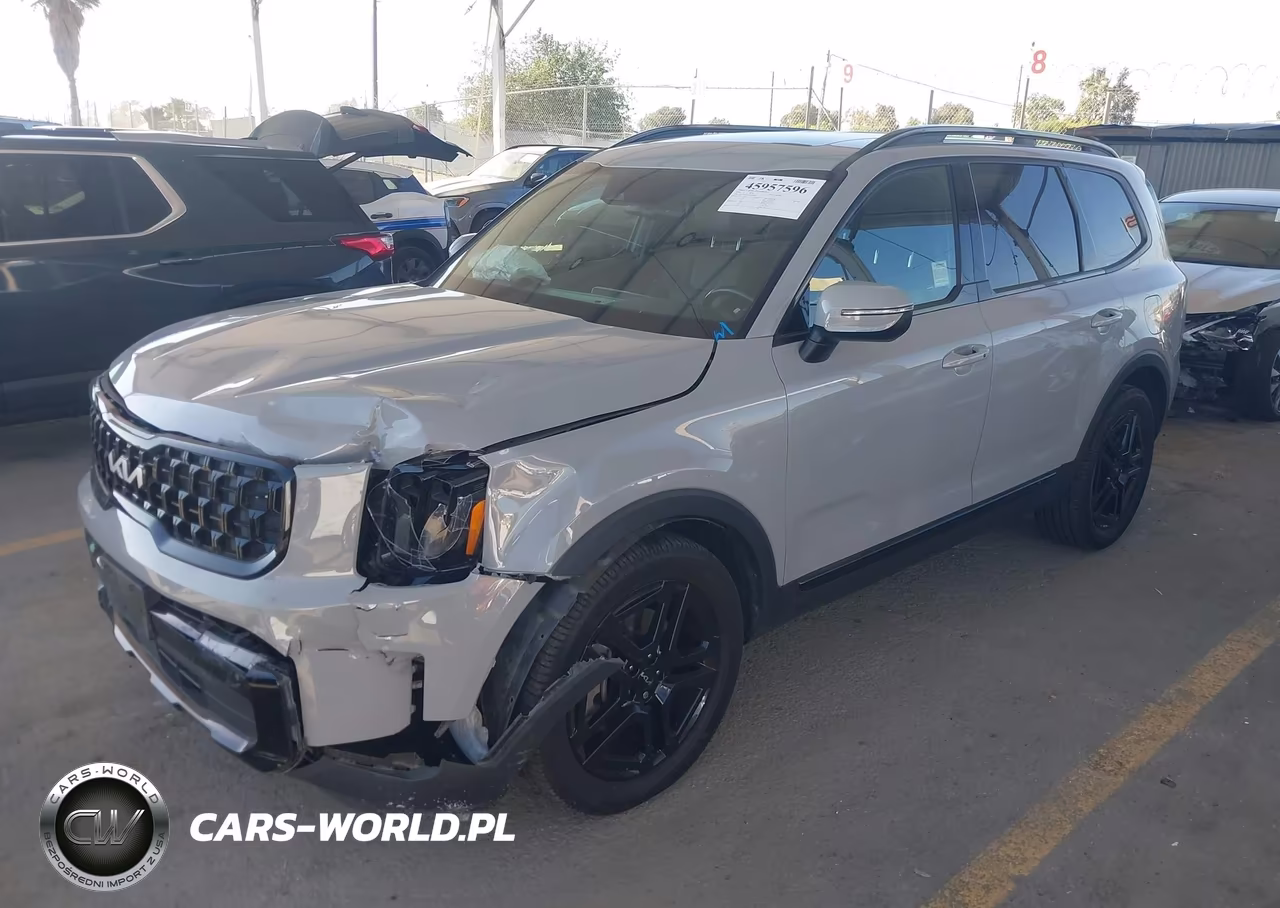 2024 Kia Telluride Ex X-Line VIN:5XYP3DGCXRG438884 - 2