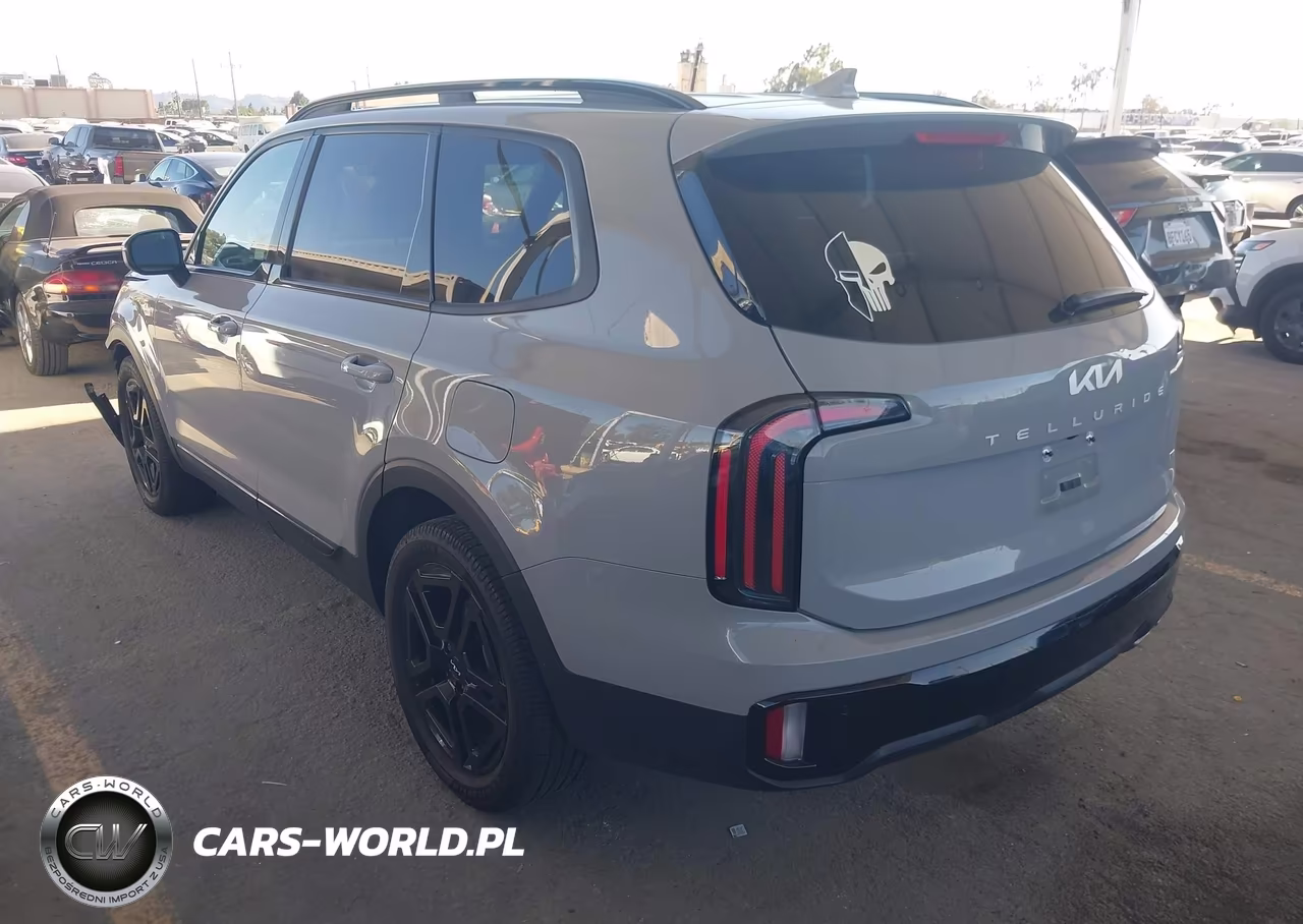 2024 Kia Telluride Ex X-Line VIN:5XYP3DGCXRG438884 - 3