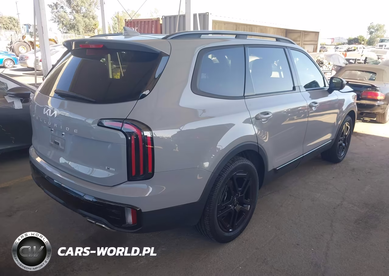 2024 Kia Telluride Ex X-Line VIN:5XYP3DGCXRG438884 - 4