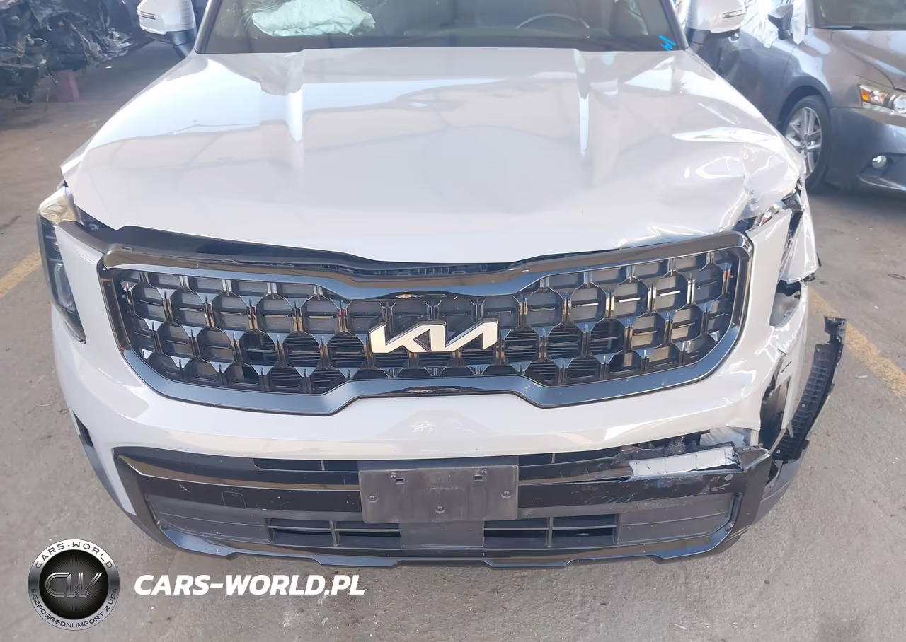 2024 Kia Telluride Ex X-Line VIN:5XYP3DGCXRG438884 - 6