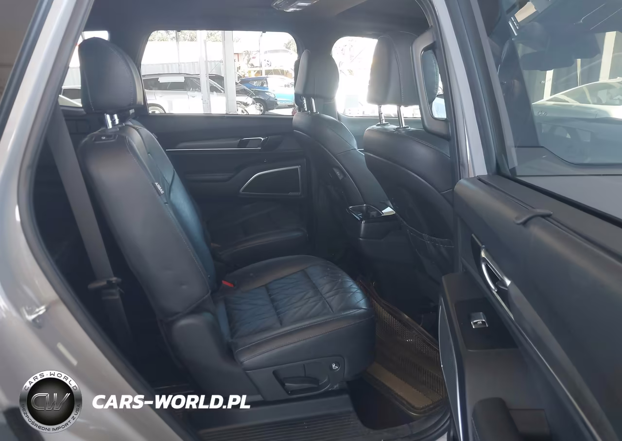 2024 Kia Telluride Ex X-Line VIN:5XYP3DGCXRG438884 - 8