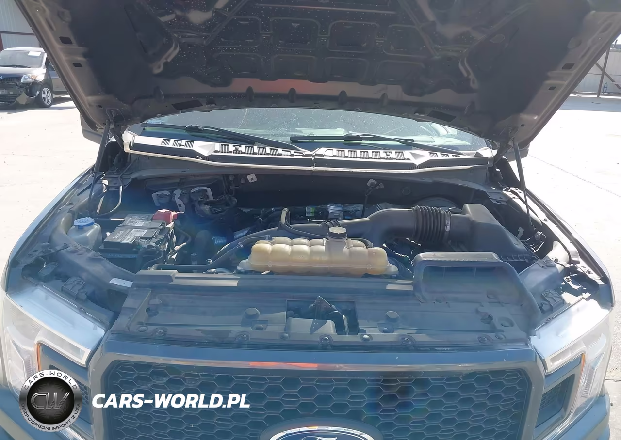 2019 Ford F-150 Xl VIN:1FTEW1CP5KKD95870 - 10