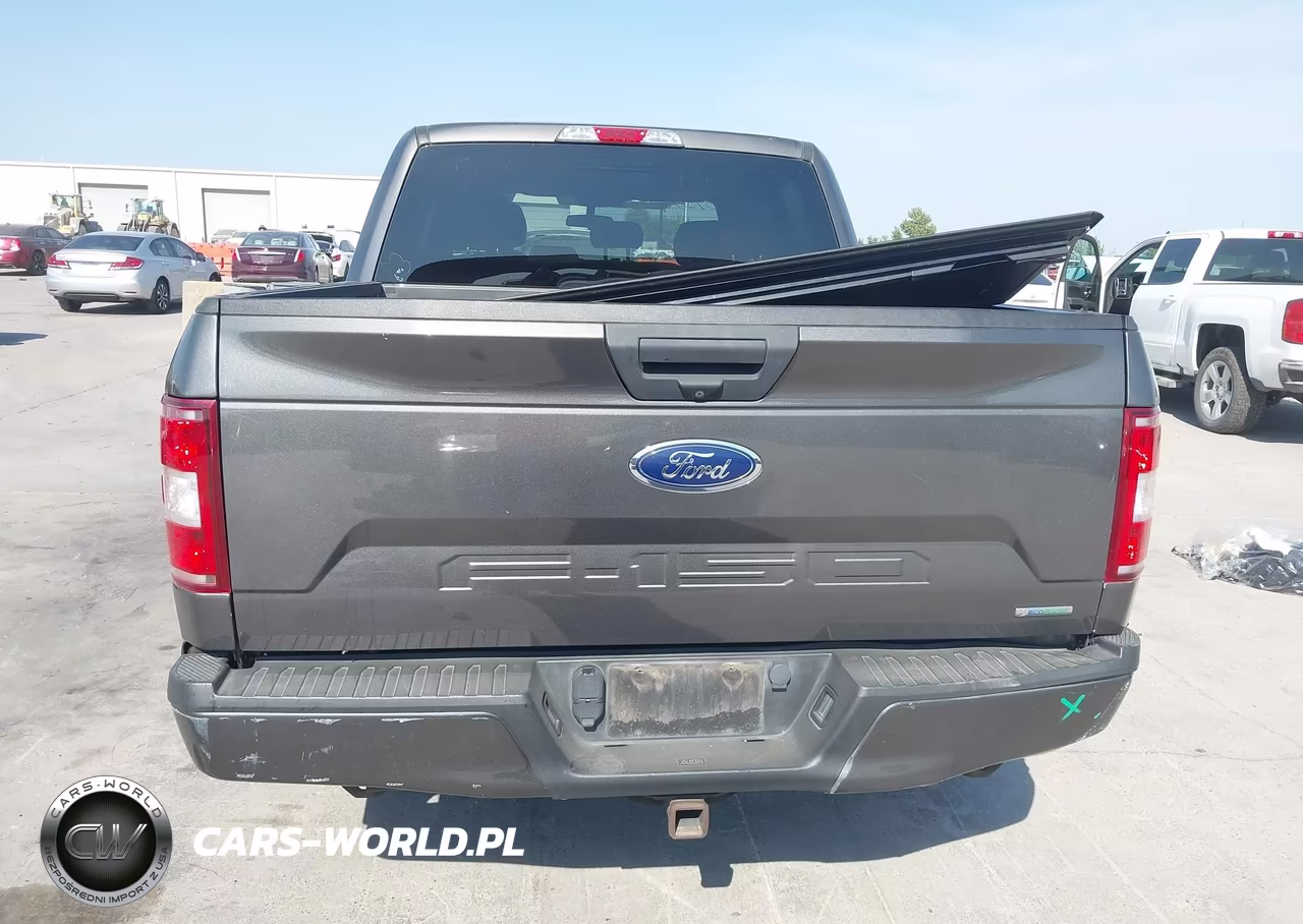 2019 Ford F-150 Xl VIN:1FTEW1CP5KKD95870 - 16