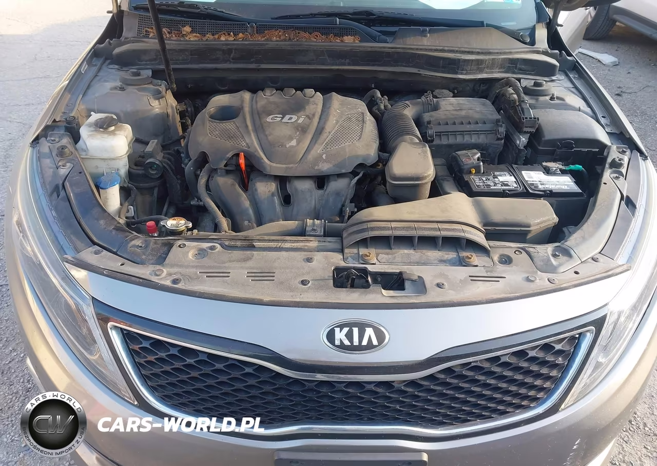 2015 Kia Optima Ex VIN:5XXGN4A79FG444407 - 10