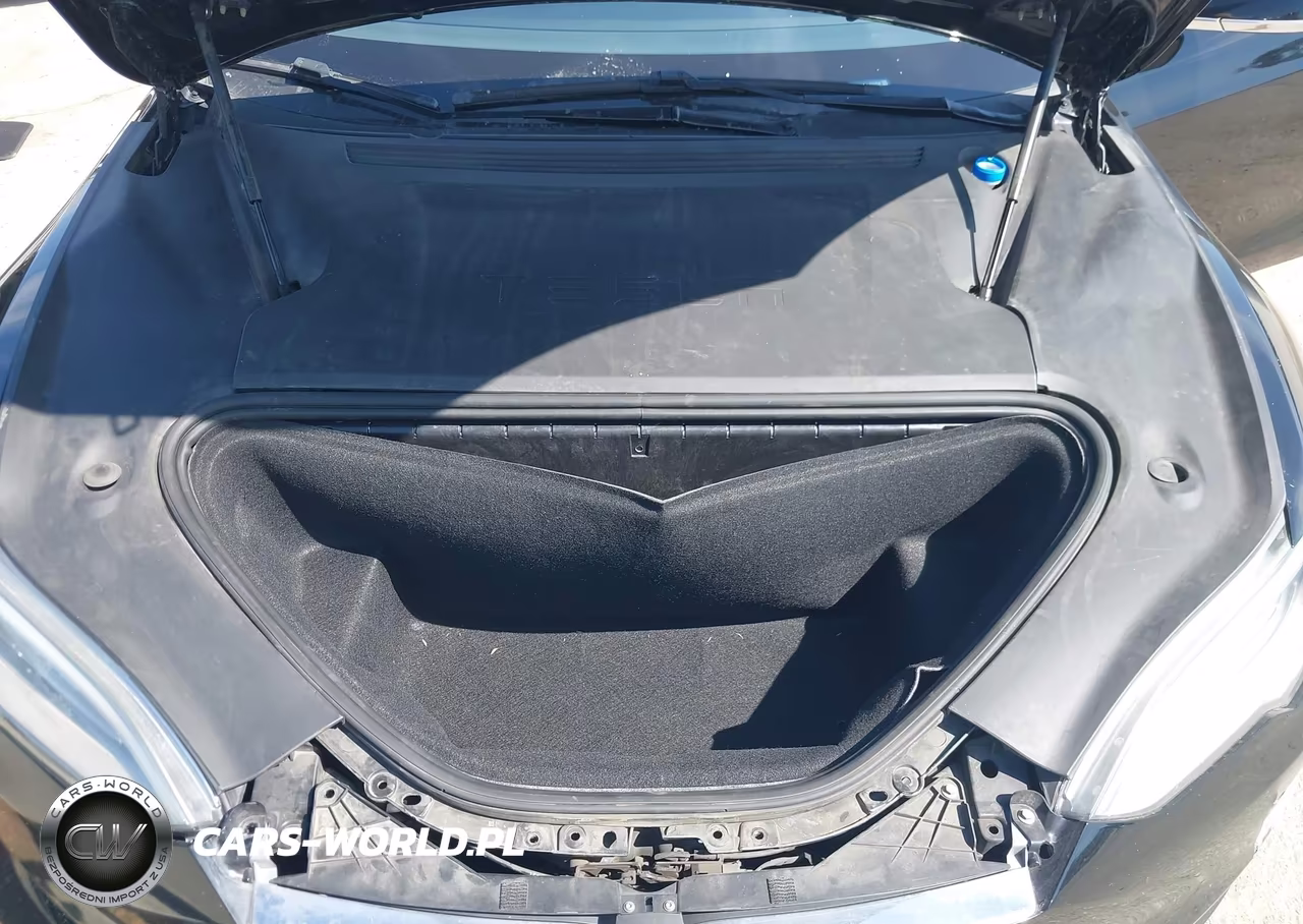 2019 Tesla Model S 100D-Long Range-P100D-Performance VIN:5YJSA1E49KF331705 - 10