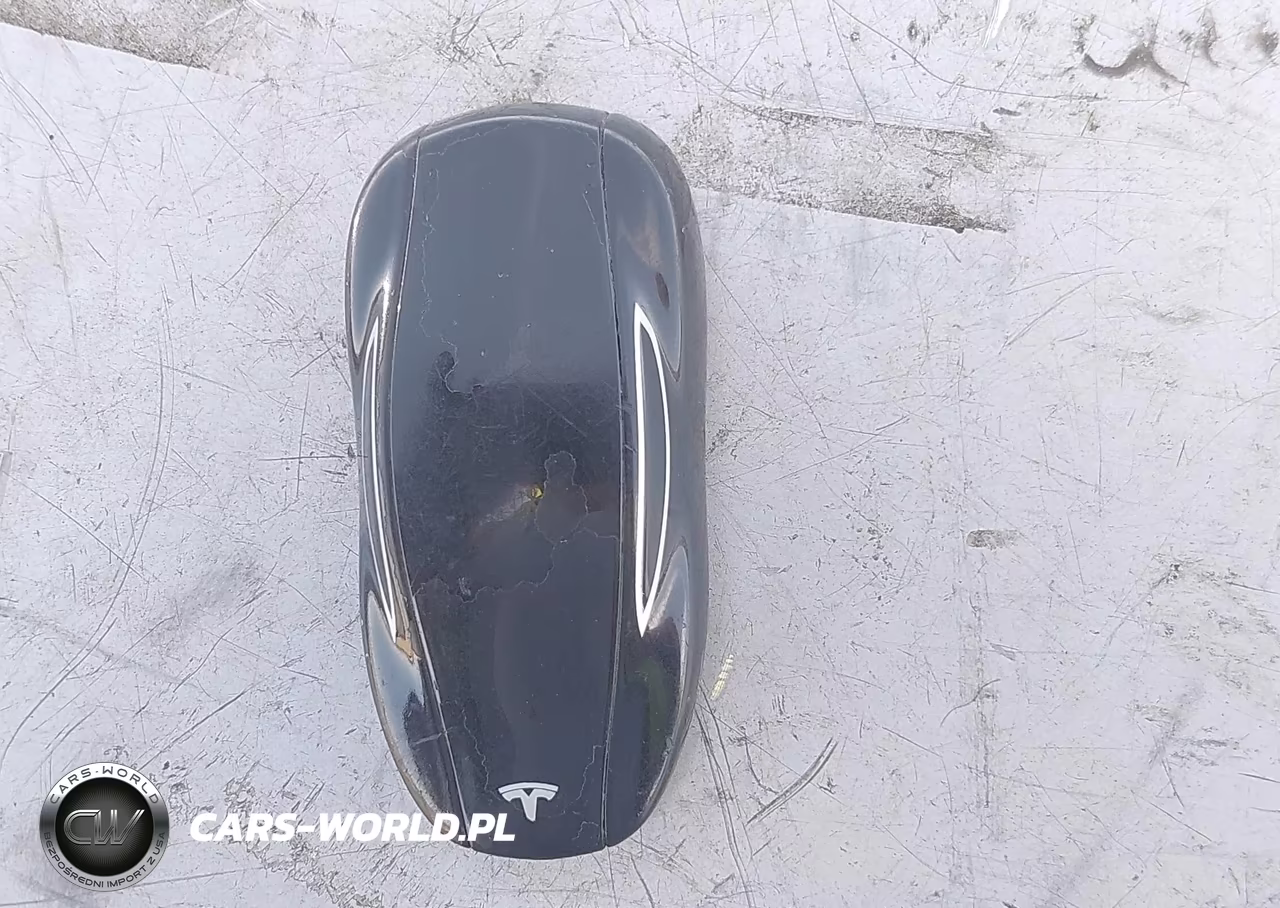 2019 Tesla Model S 100D-Long Range-P100D-Performance VIN:5YJSA1E49KF331705 - 11