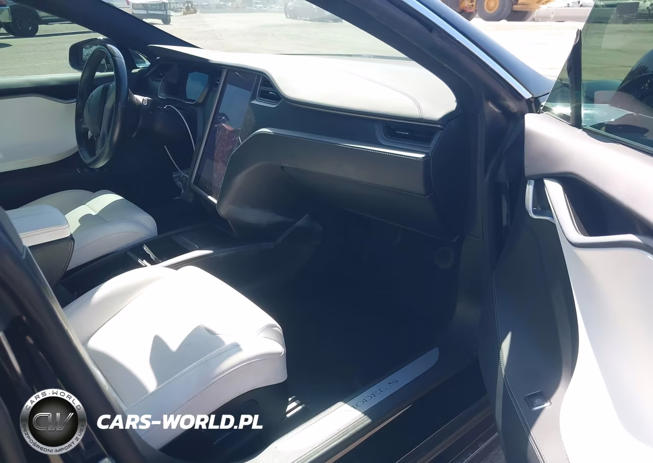 2019 Tesla Model S 100D-Long Range-P100D-Performance VIN:5YJSA1E49KF331705 - 5