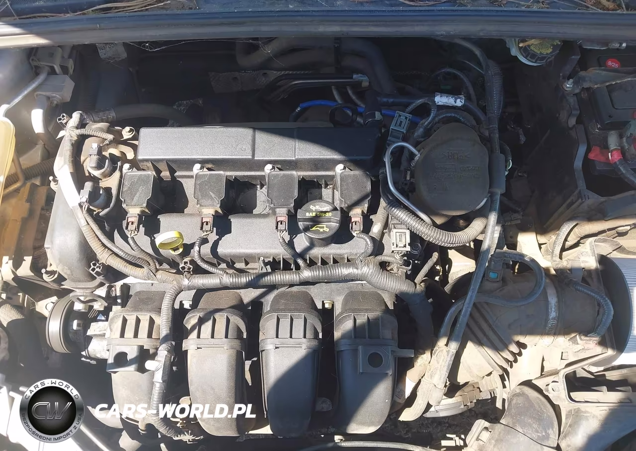 2013 Ford Focus Se VIN:1FADP3K20DL319616 - 10