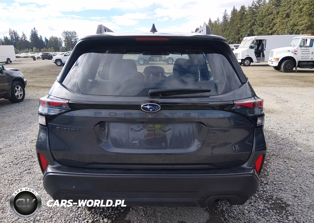 2025 Subaru Forester VIN:JF2SLDAC7SH481175 - 17