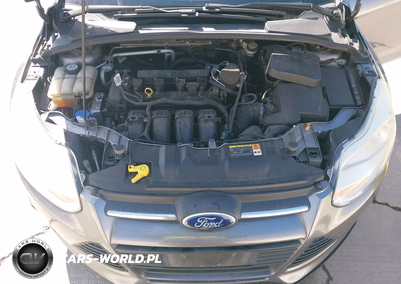 2013 Ford Focus Se VIN:1FADP3K20DL363390 - 10