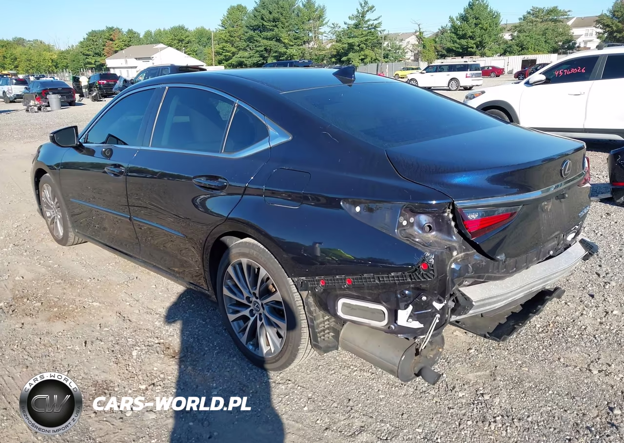 2021 Lexus Es 350 VIN:58ADZ1B19MU110955 - 3