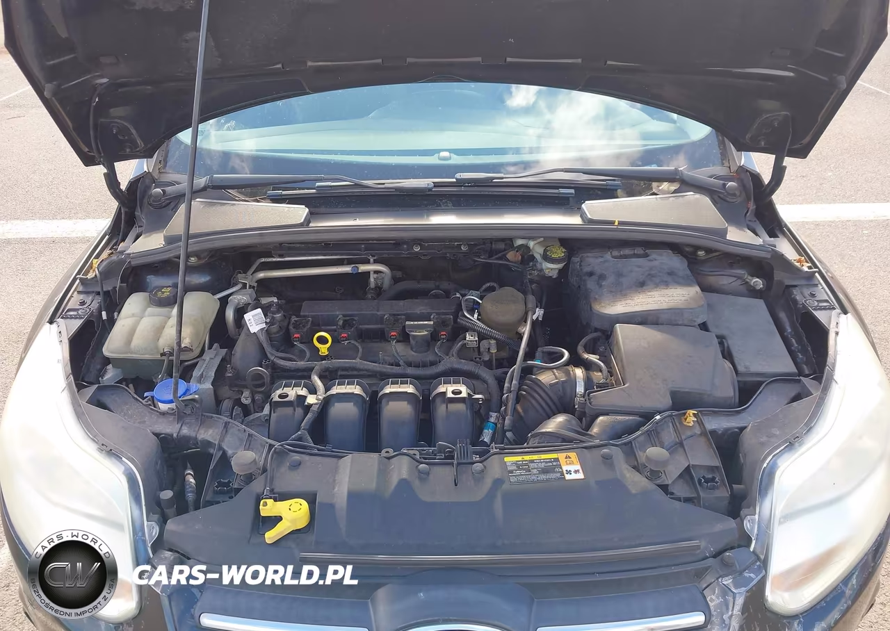2014 Ford Focus Se VIN:1FADP3K2XEL153574 - 10