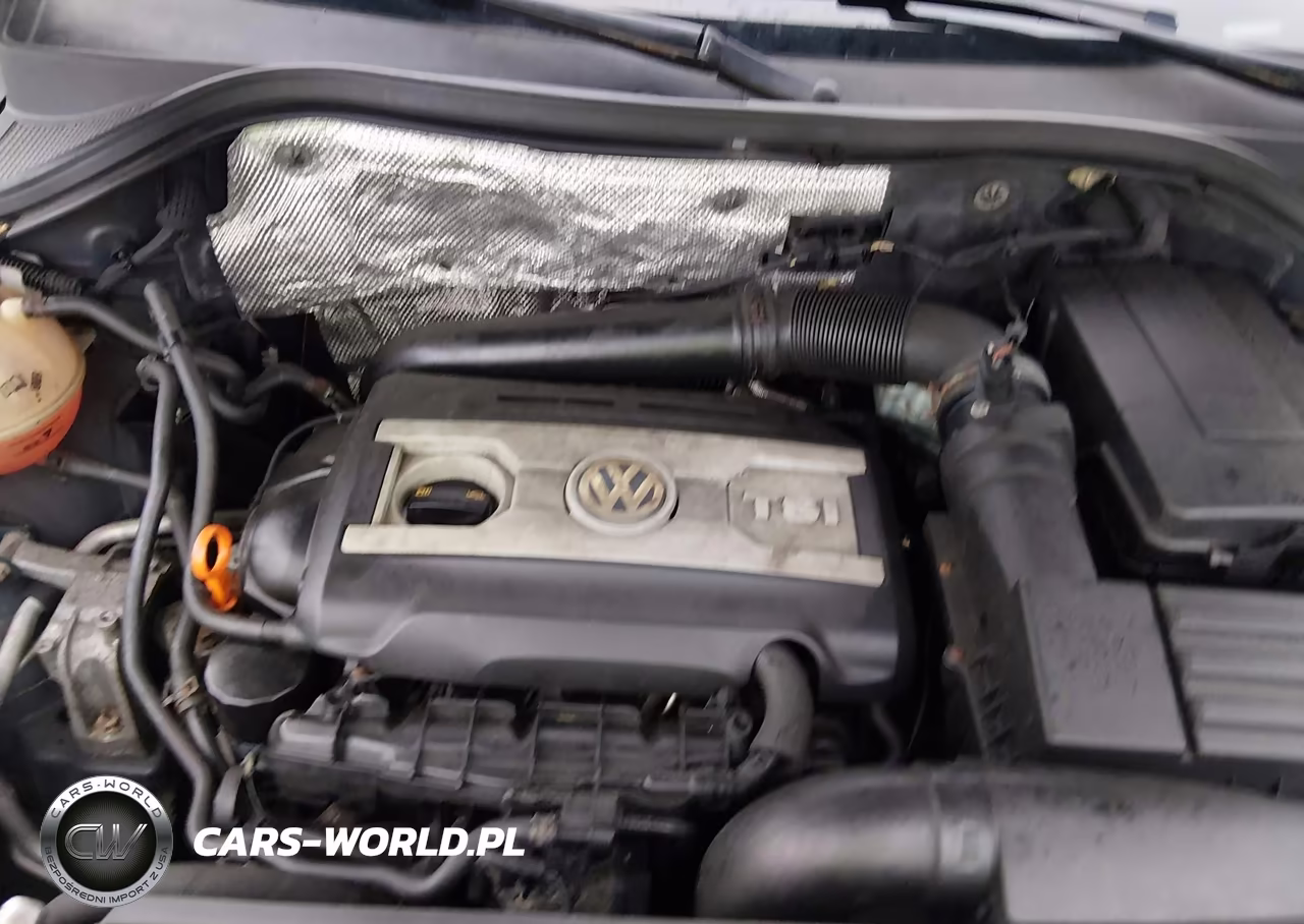 2011 Volkswagen Tiguan S VIN:WVGBV7AXXBW539820 - 10