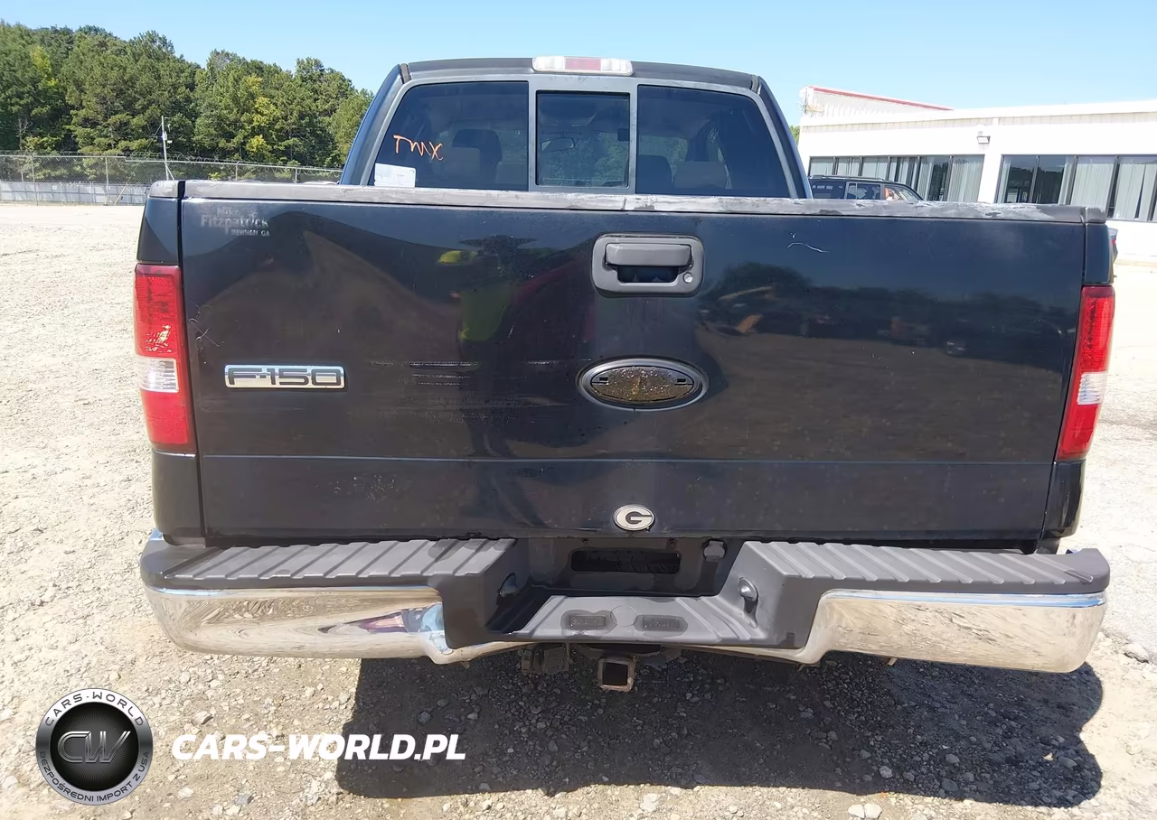 2006 Ford F-150 Lariat-Xlt VIN:1FTRX12V16KD49196 - 6