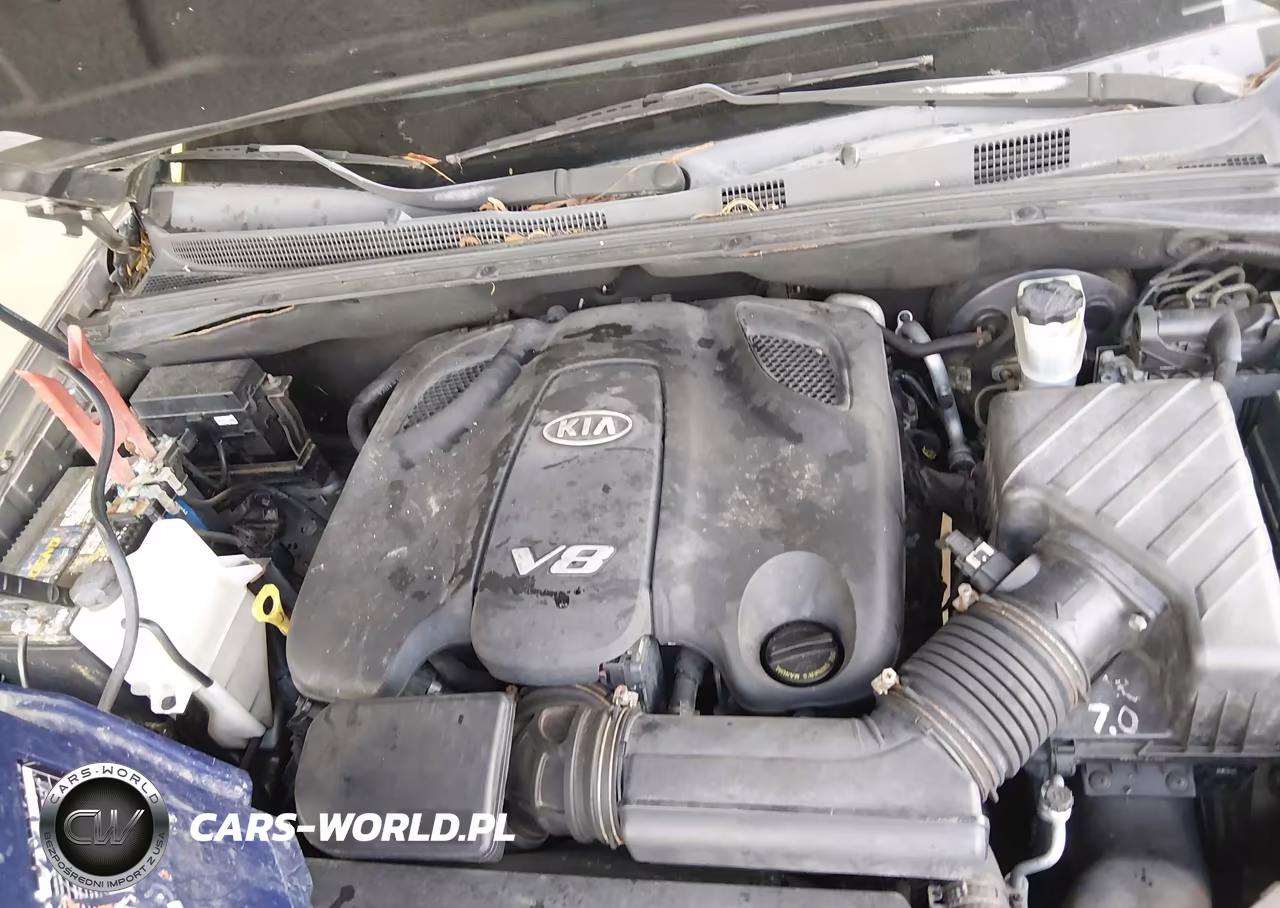 2009 Kia Borrego Ex V8 VIN:KNDJH742595027485 - 10