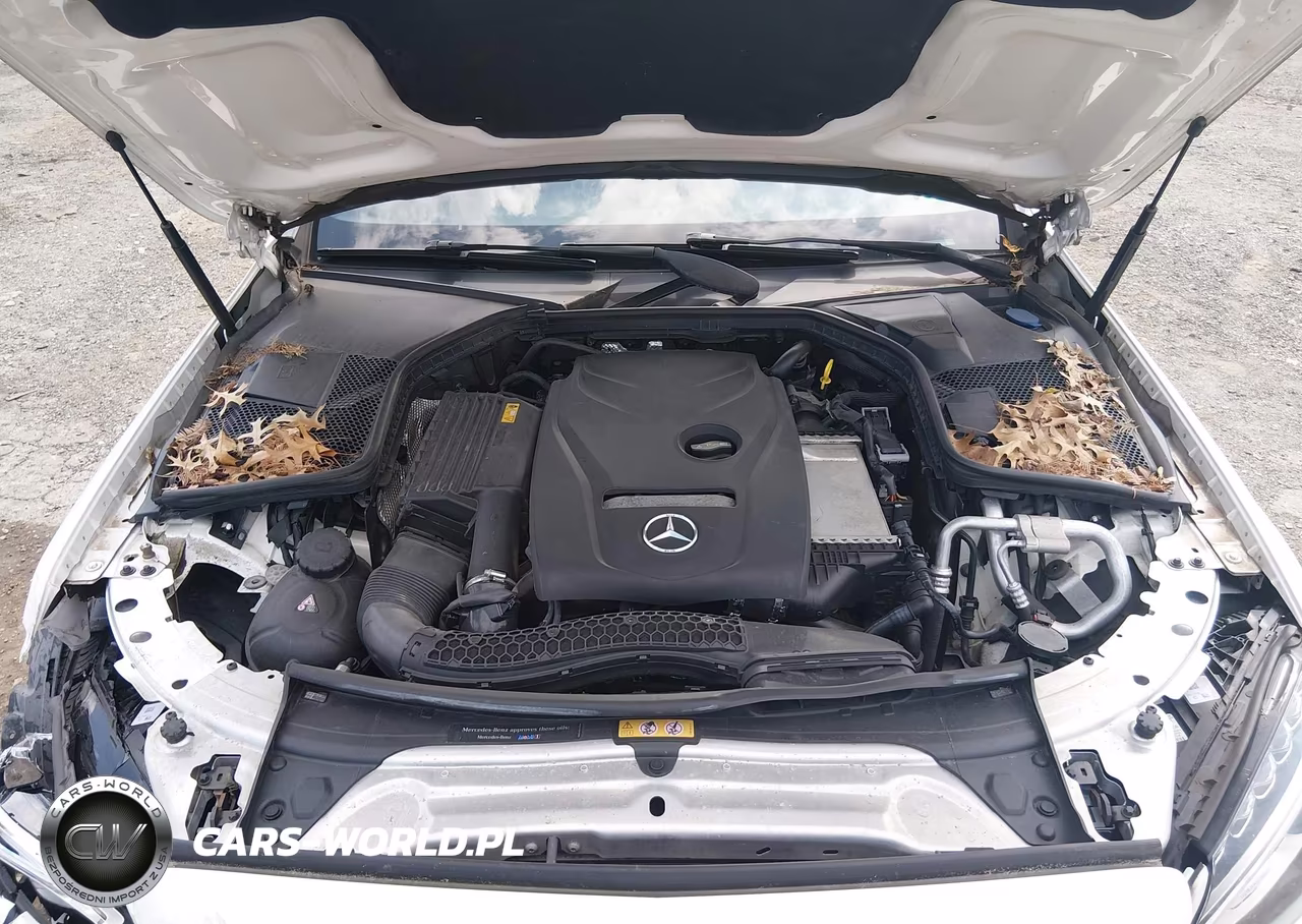 2018 Mercedes-Benz C 300 4Matic VIN:WDDWJ4KB2JF681778 - 10