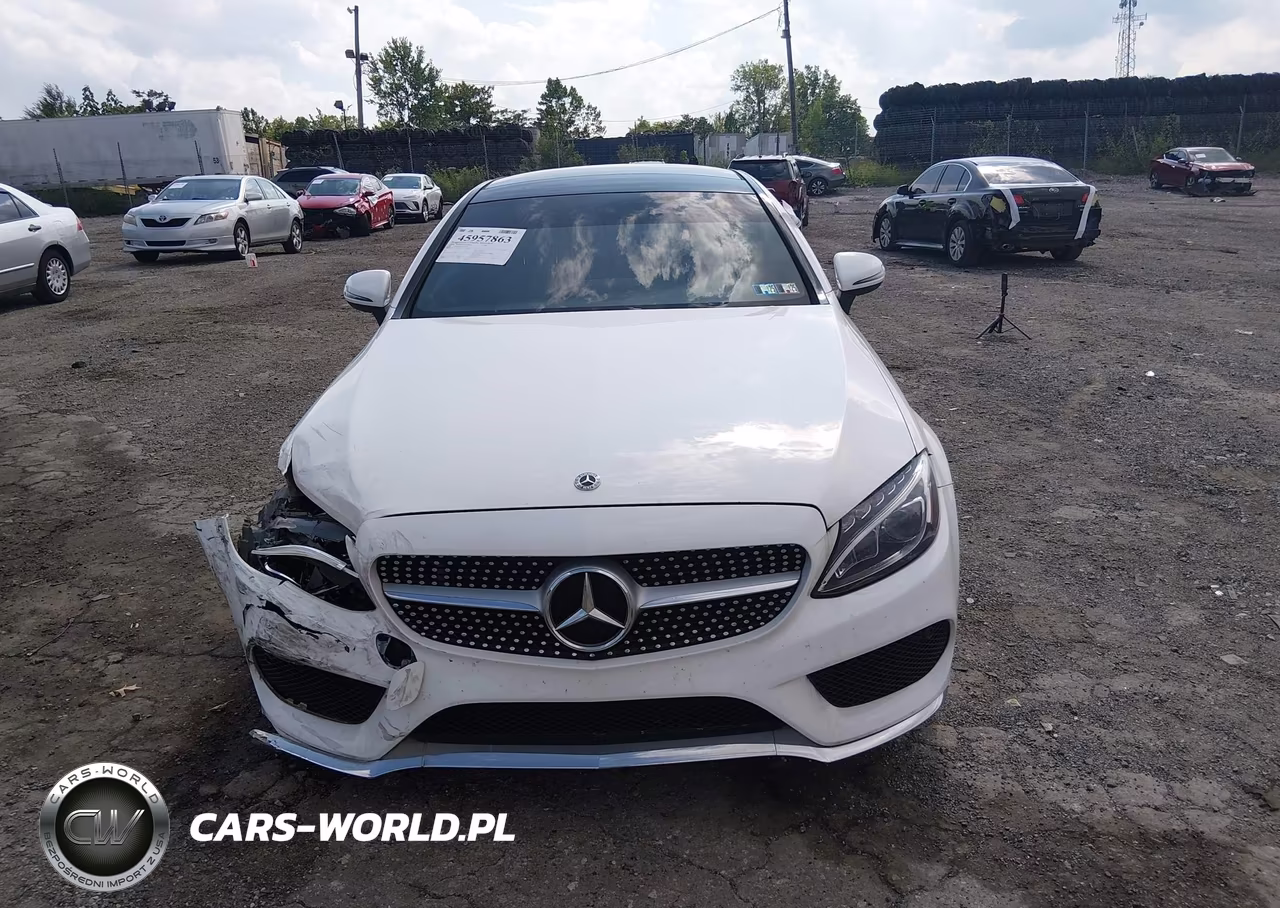 2018 Mercedes-Benz C 300 4Matic VIN:WDDWJ4KB2JF681778 - 12