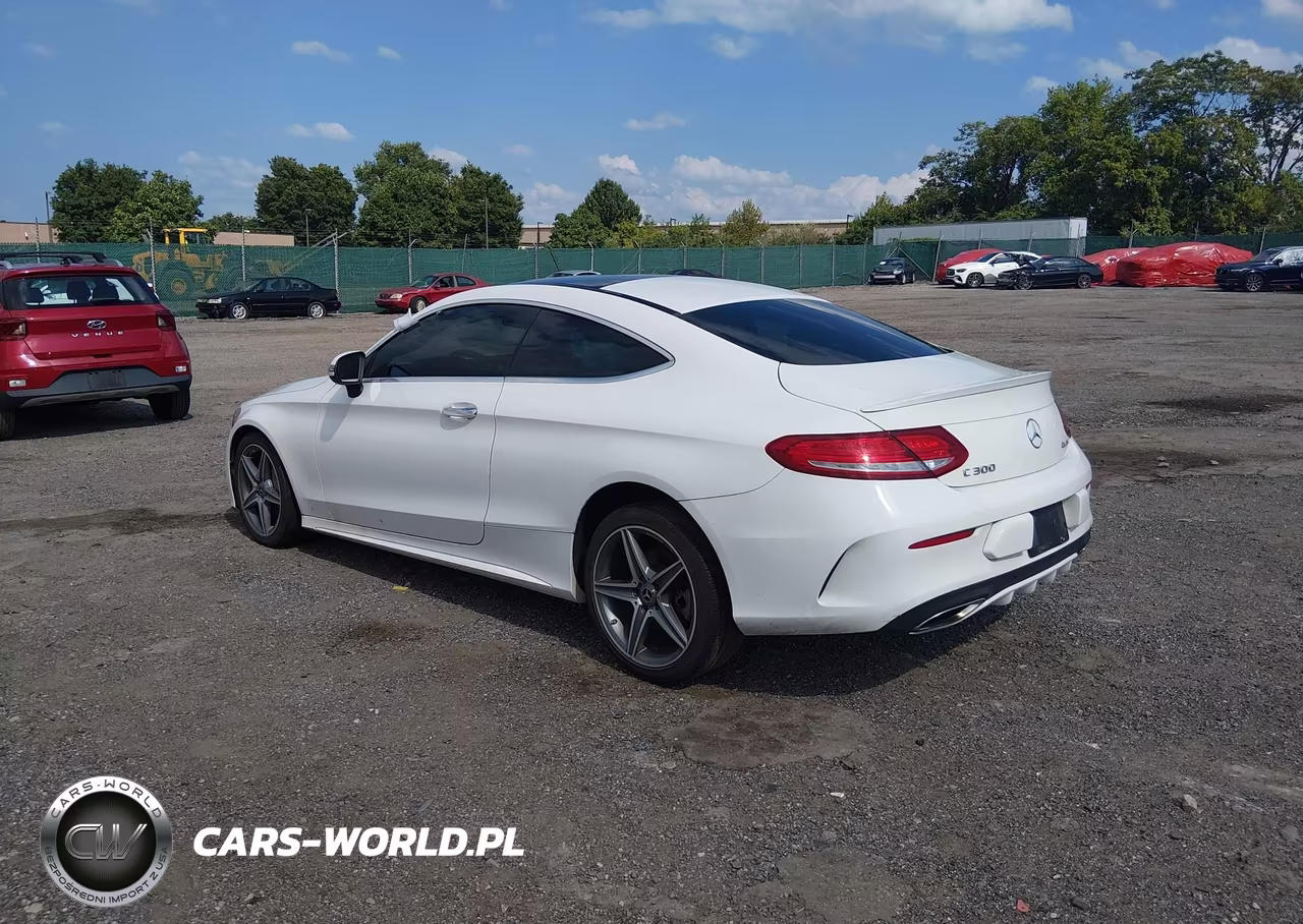 2018 Mercedes-Benz C 300 4Matic VIN:WDDWJ4KB2JF681778 - 3