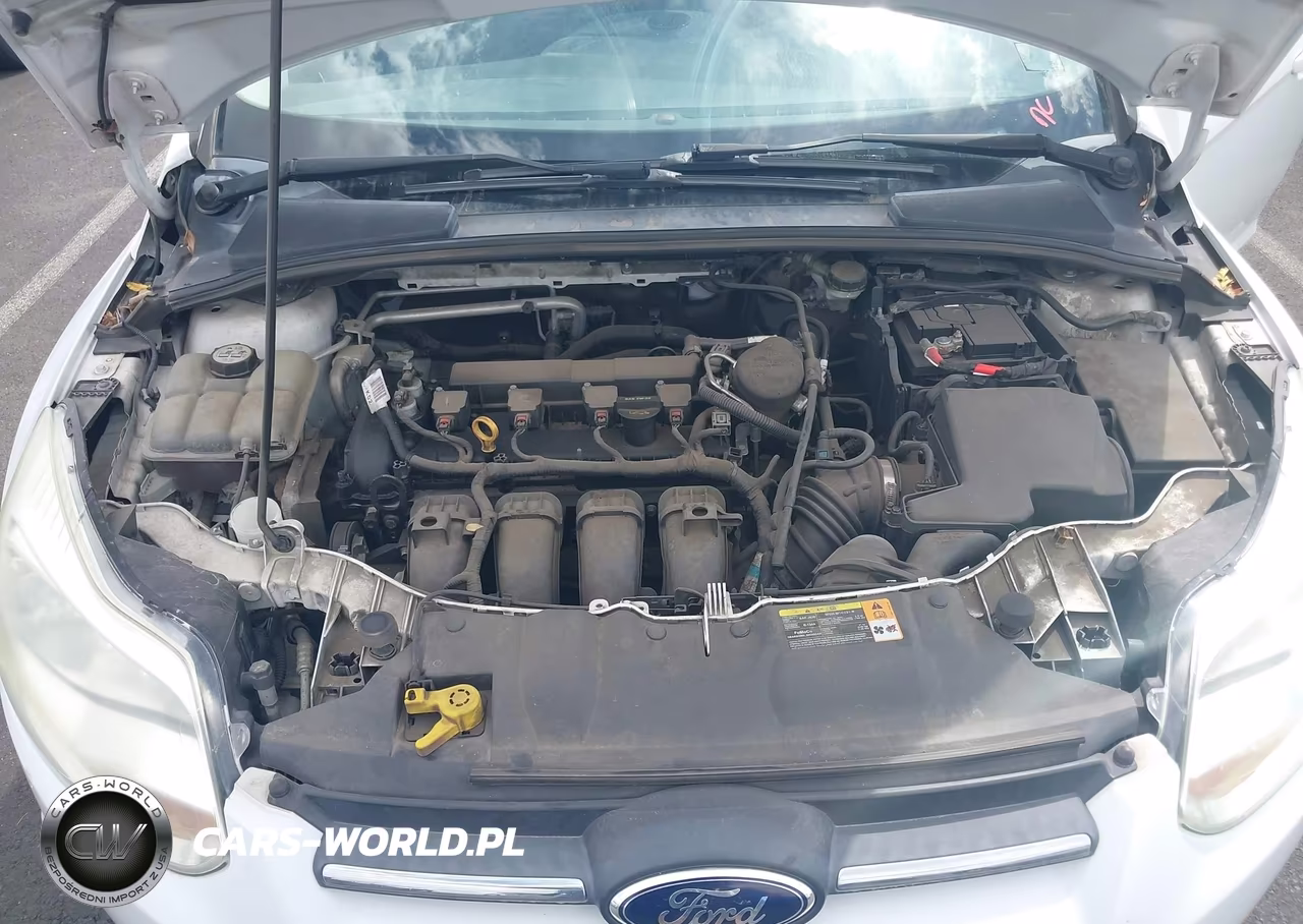 2013 Ford Focus Se VIN:1FADP3F25DL165091 - 10