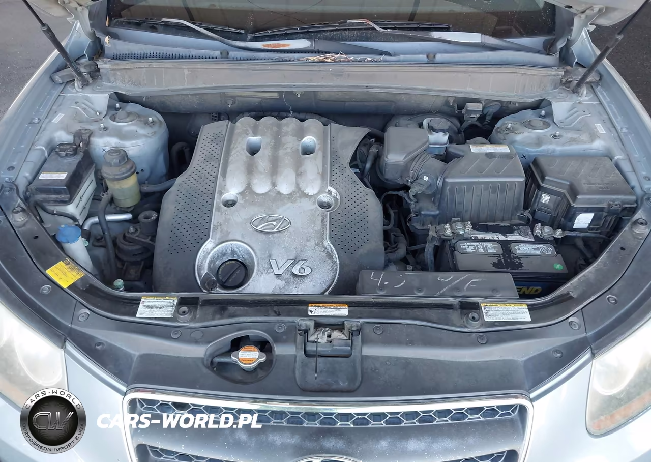 2007 Hyundai Santa Fe Gls VIN:5NMSG73D07H061645 - 10